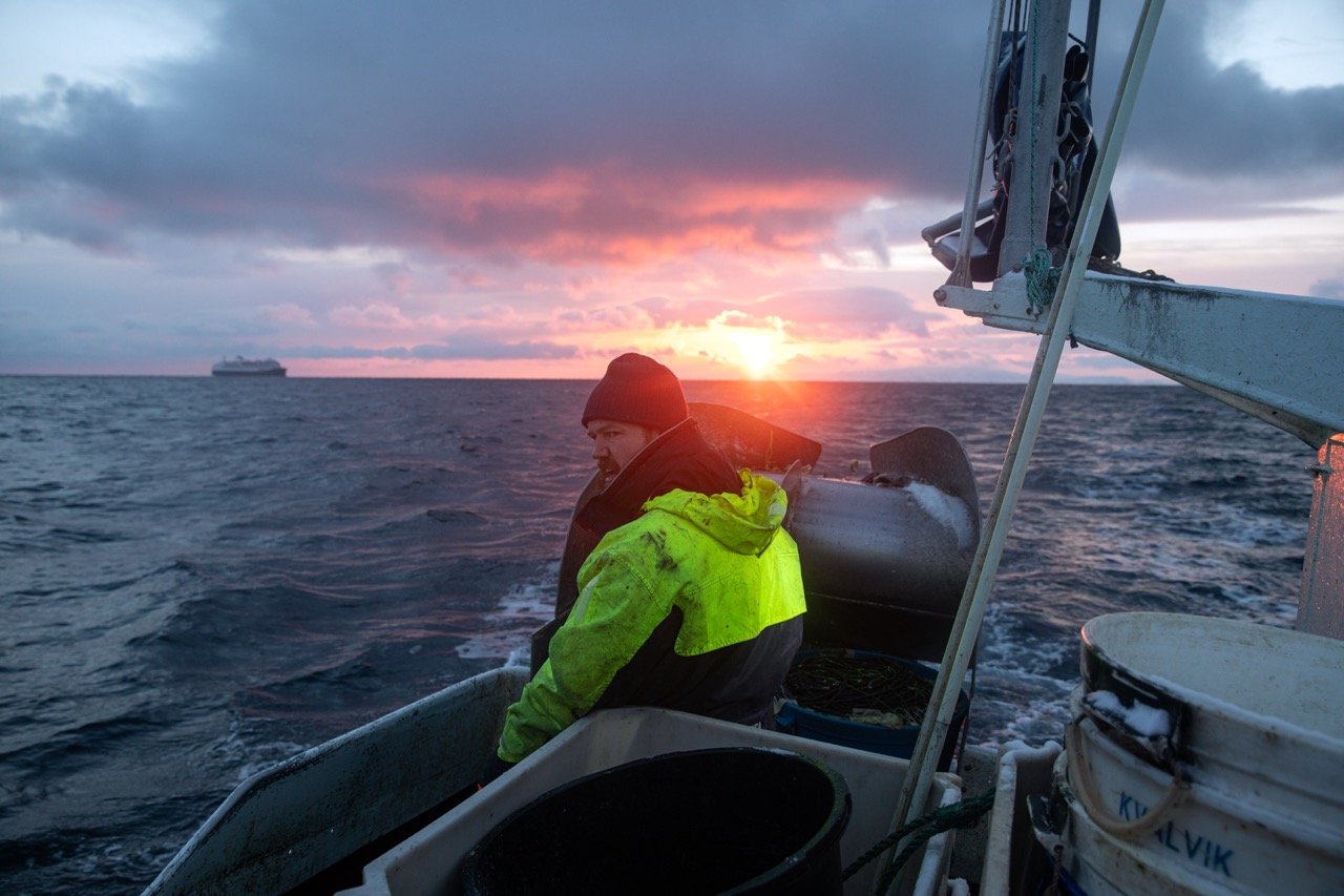 Uten tittel (linefiske)