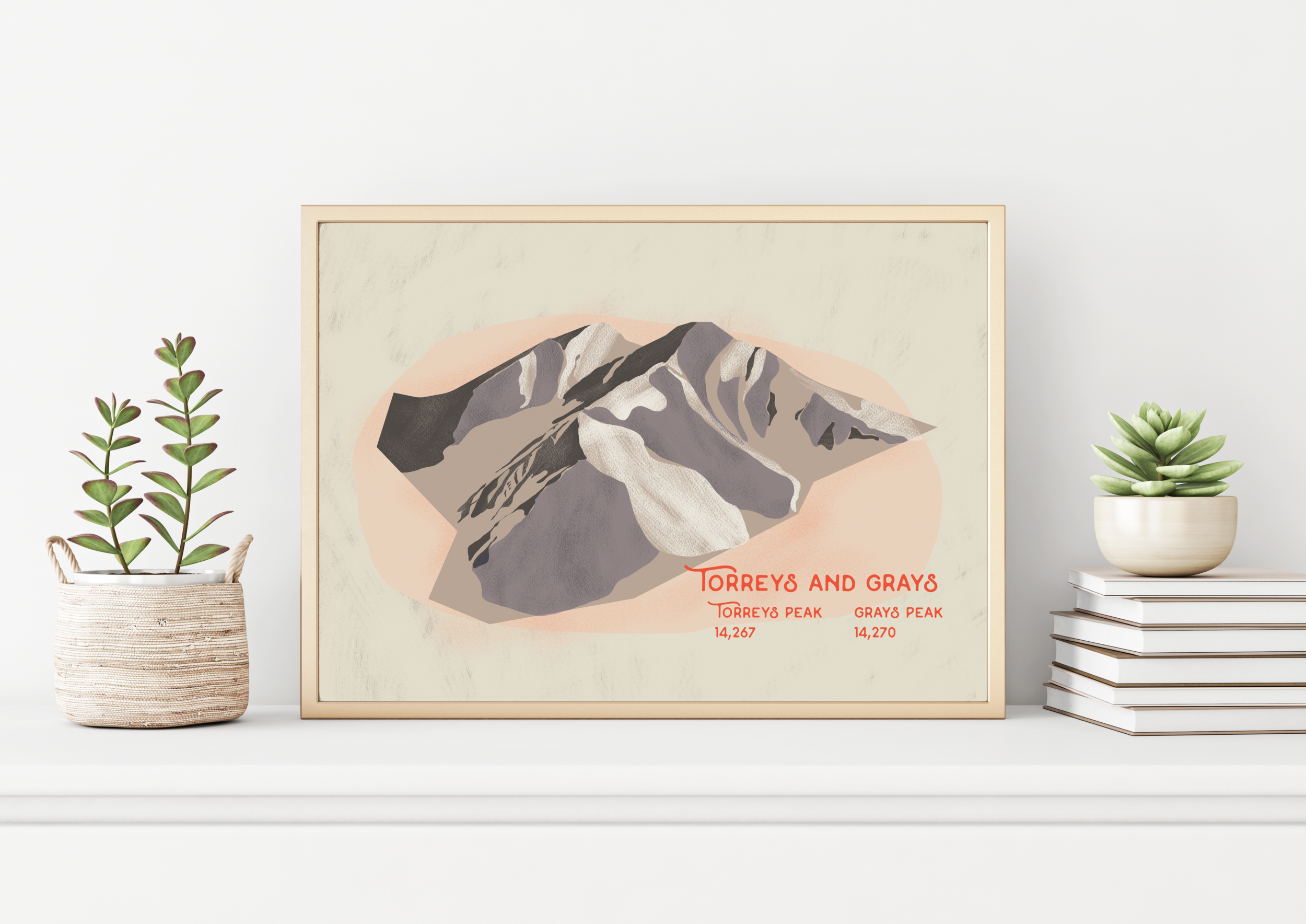 LJones TorreysGrays in frame.png
