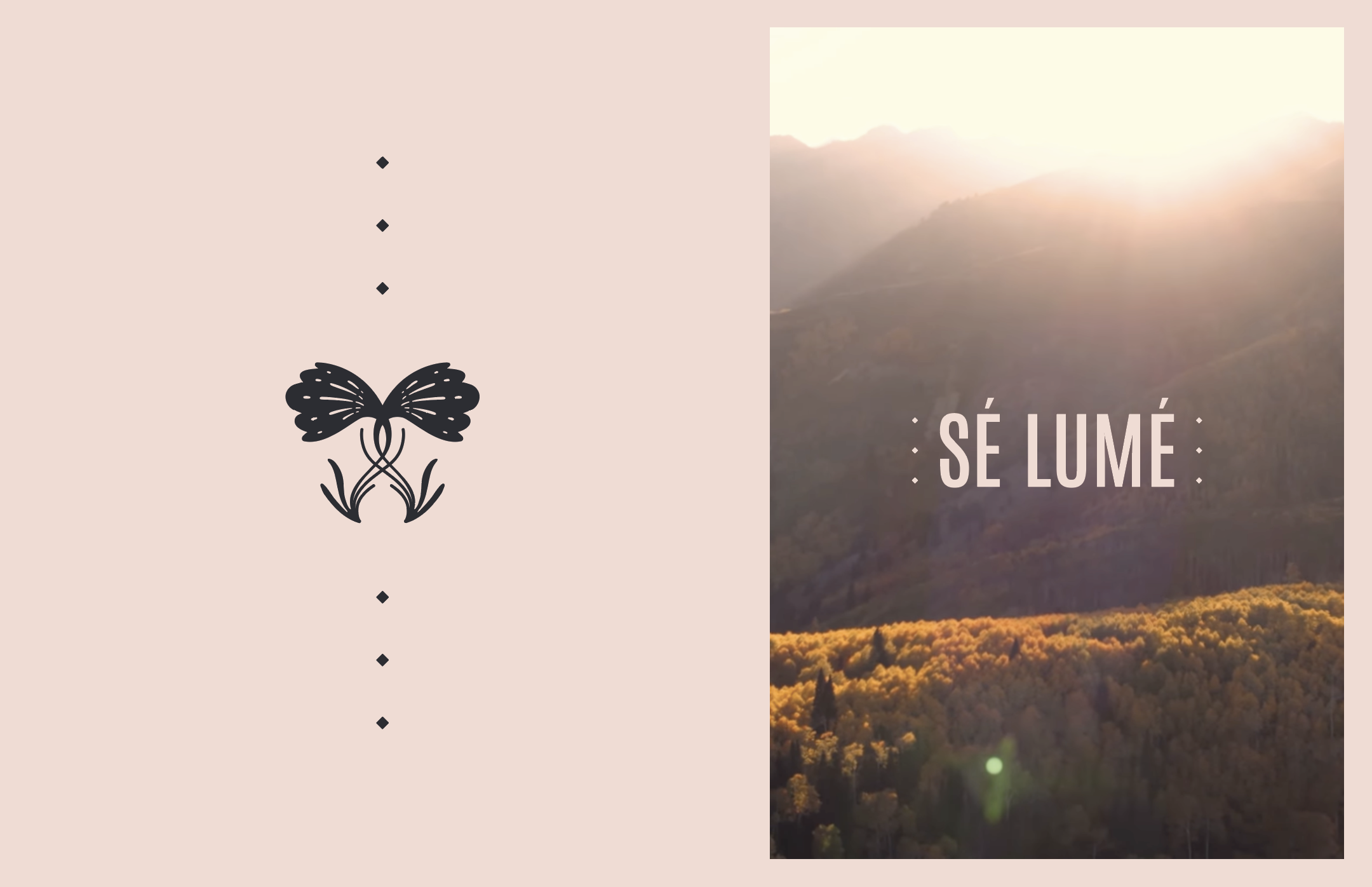 SLbranding06 lindsayannajones.png