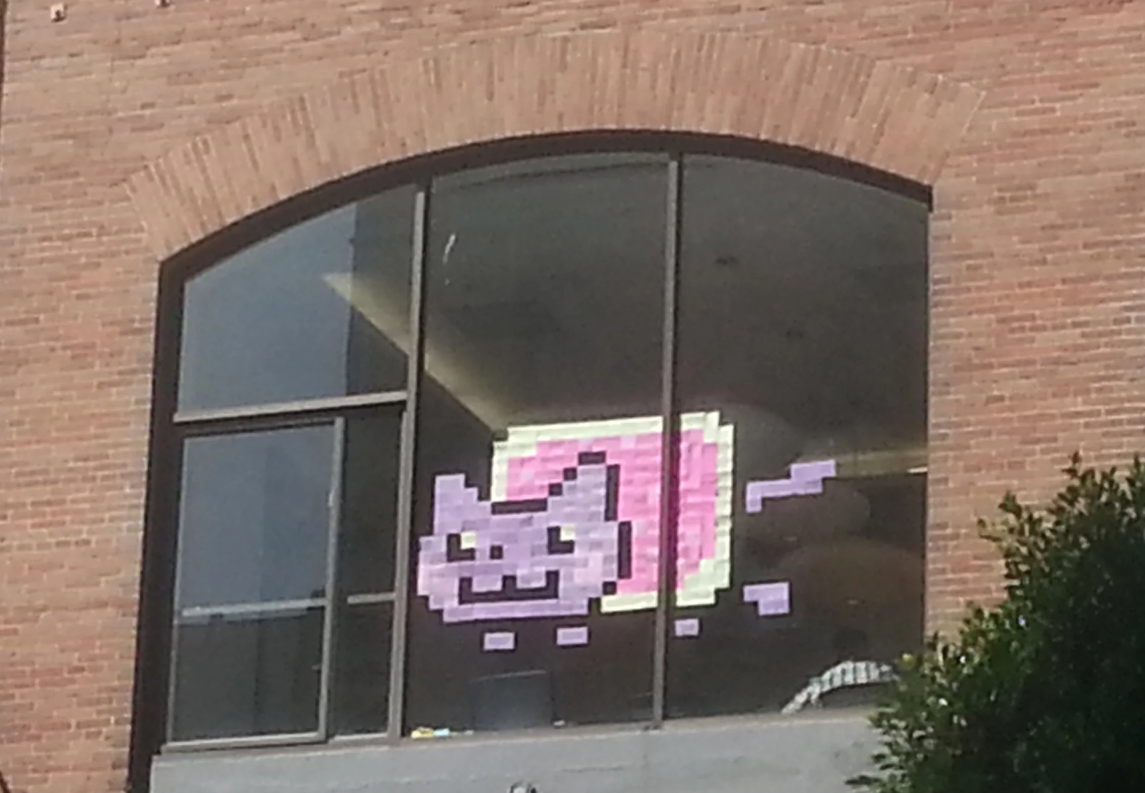 Suddenly a wild nyan cat appears downtown during a gaming convention.