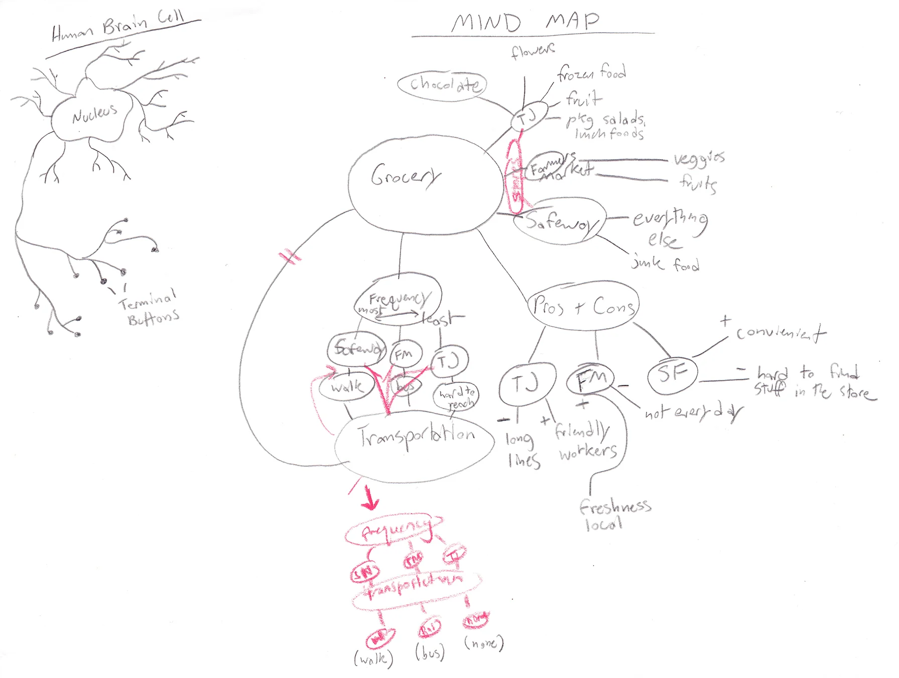 Collaborative mindmapping for a ridesharing app.