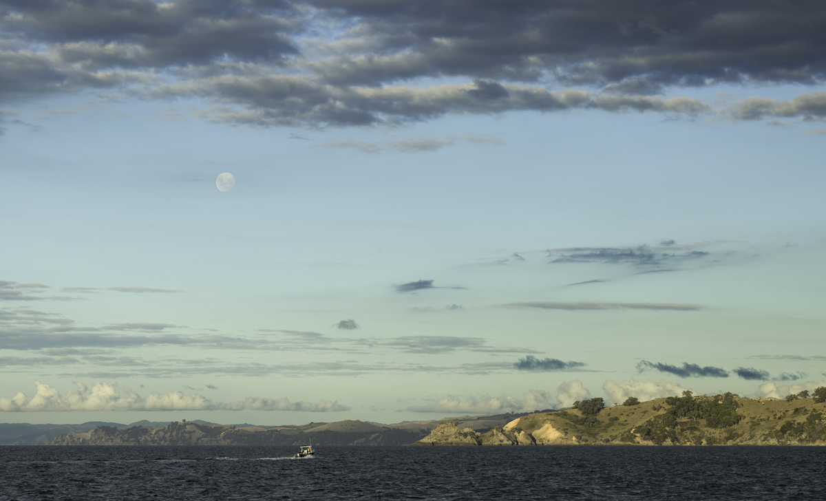 Lone Boat, North Island, New Zealand