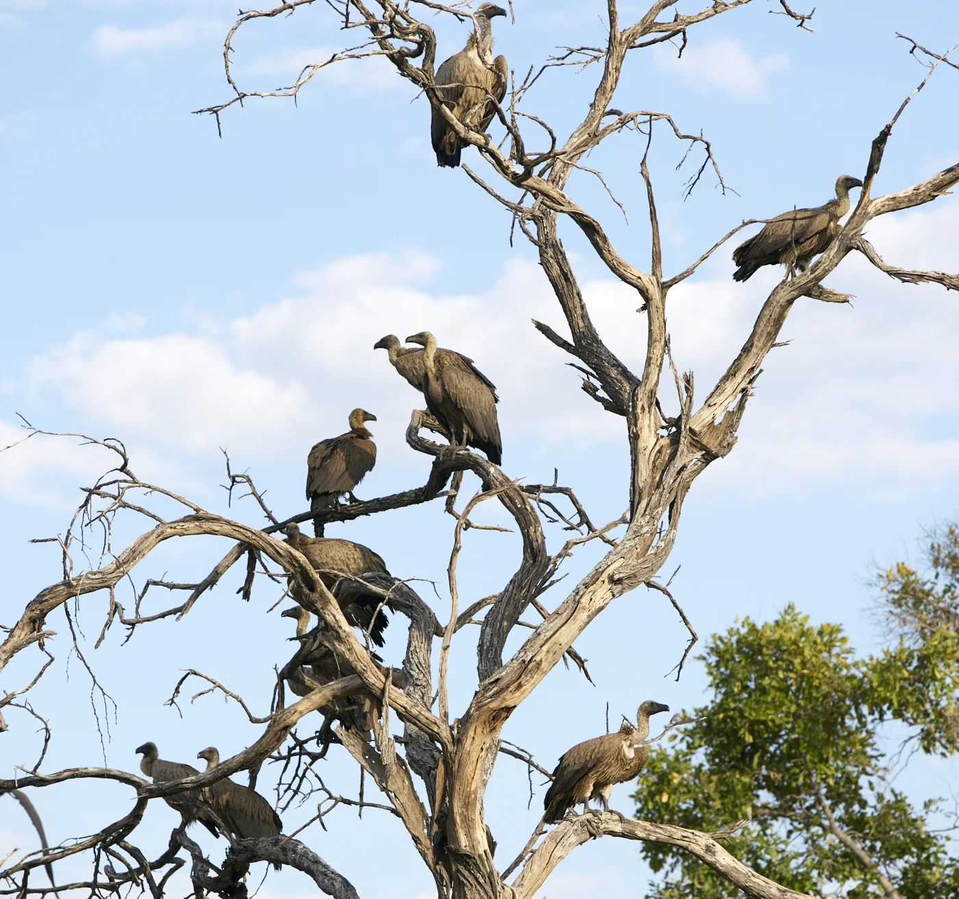 Botswana
