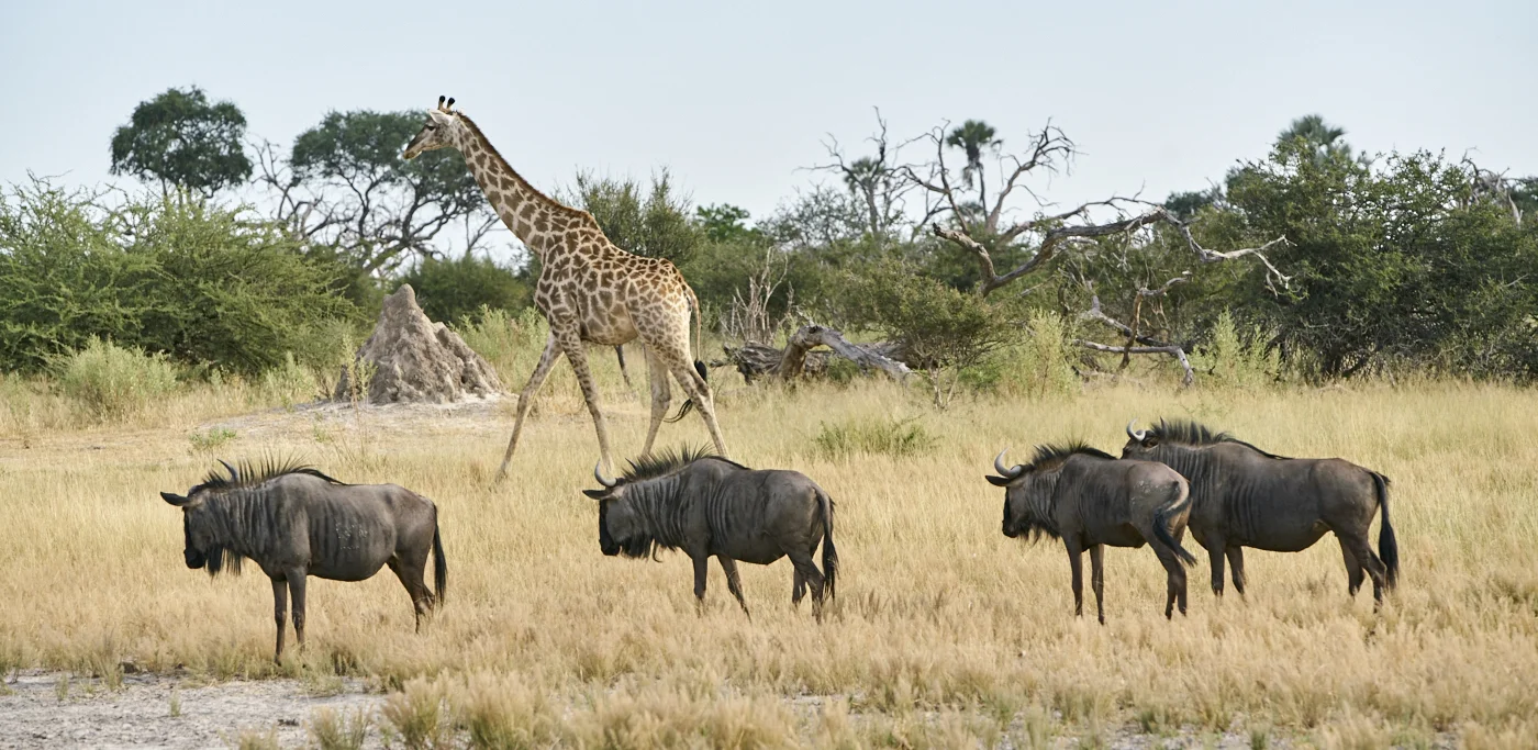 Botswana