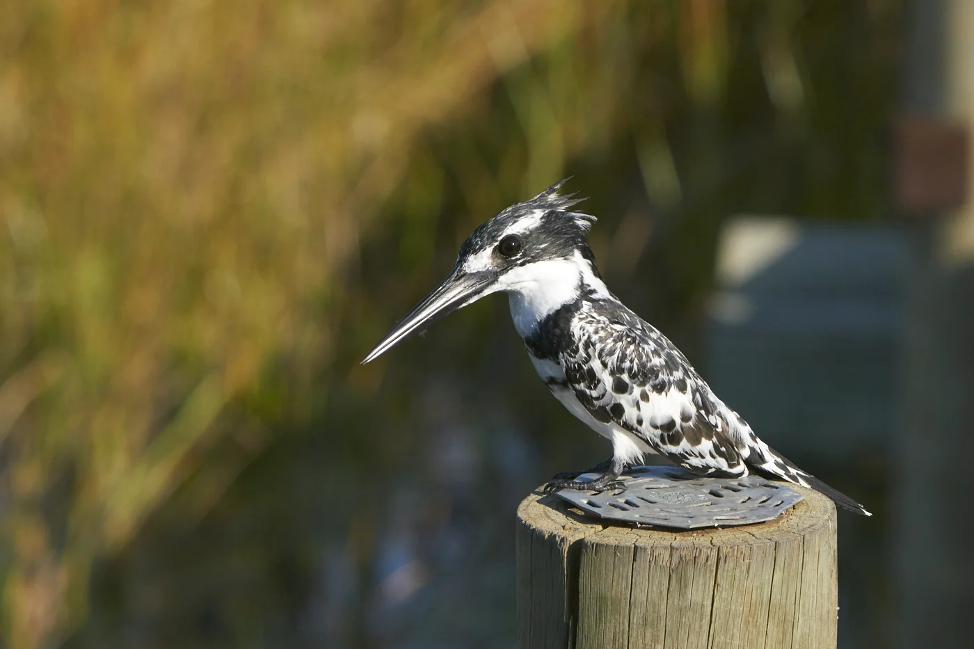 Botswana