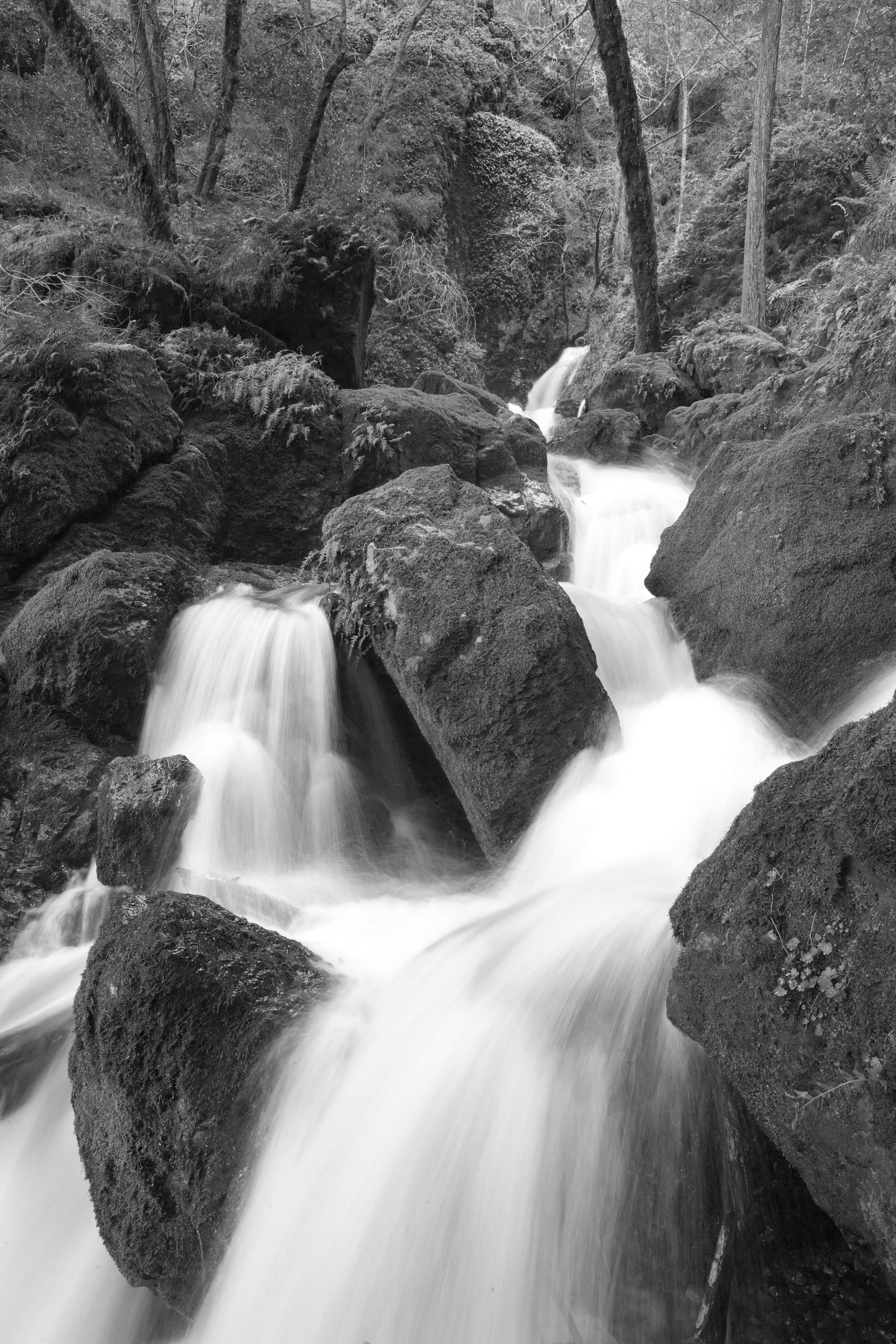 Rocks Near Nevada Falls, Yosemite