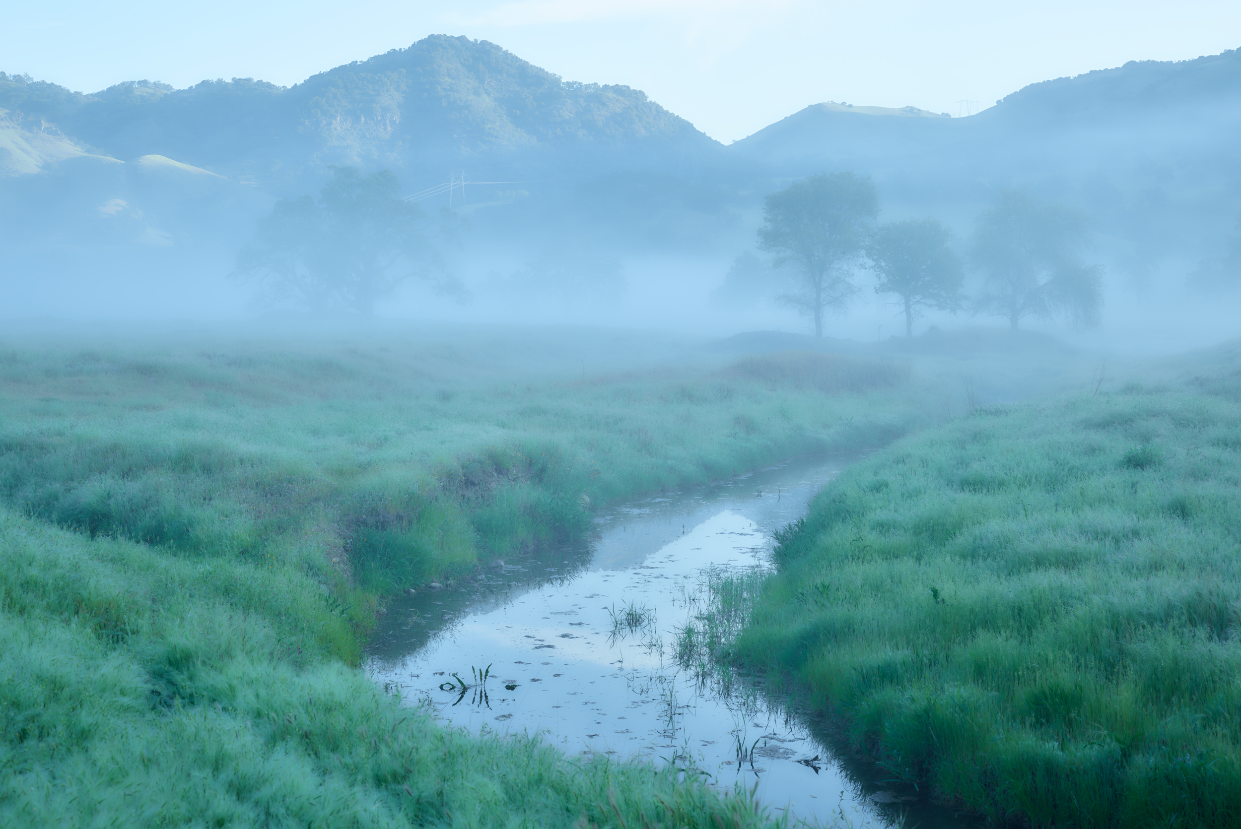 Farm Creek in Fog, Hollister, CA