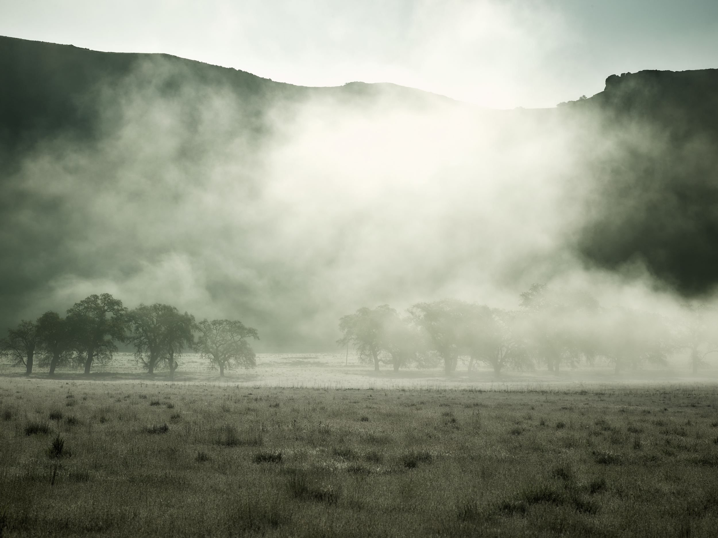 Morning Fog, Hollister, CA