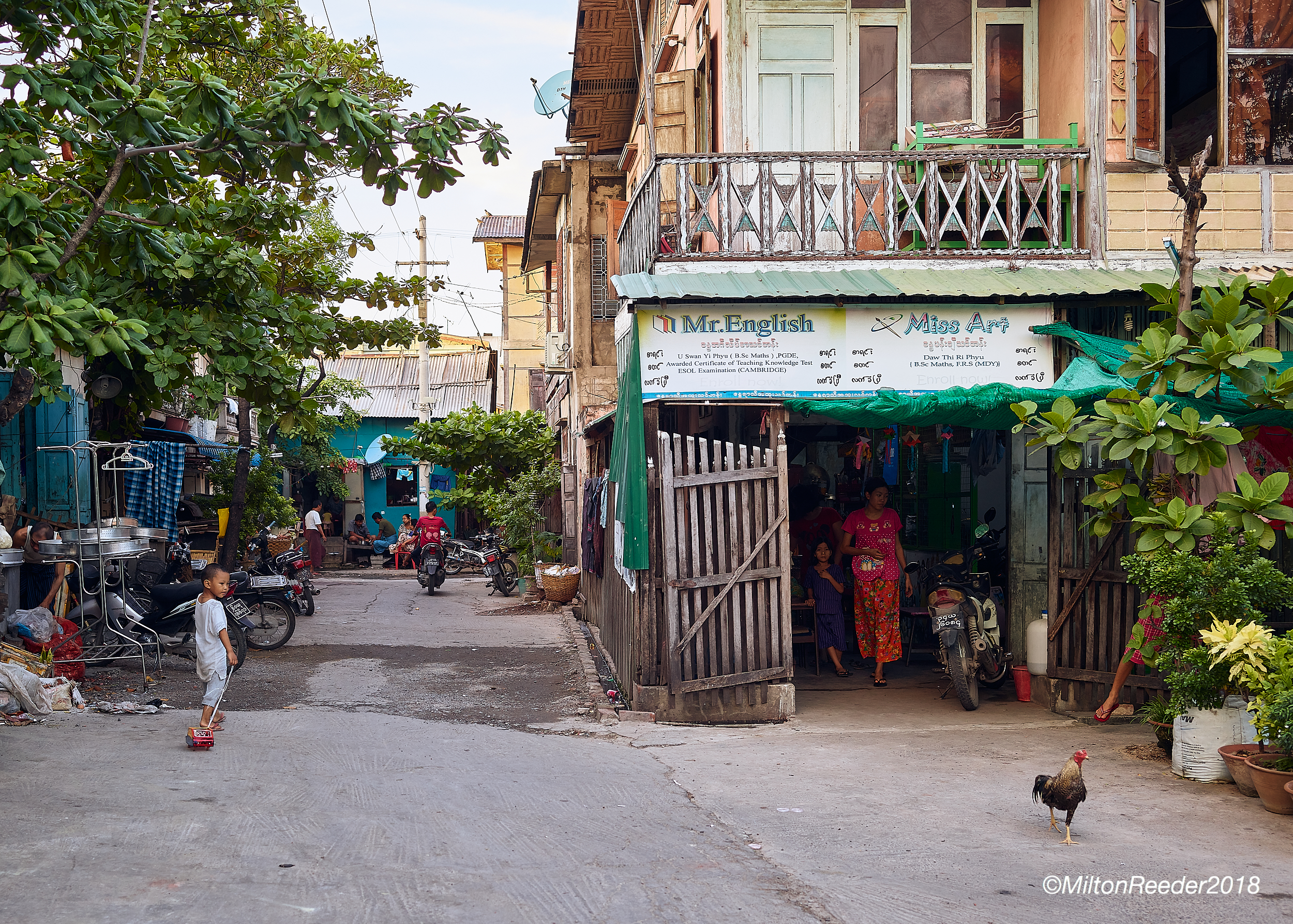 Boy and Rooster, Mandalay, Myanmar