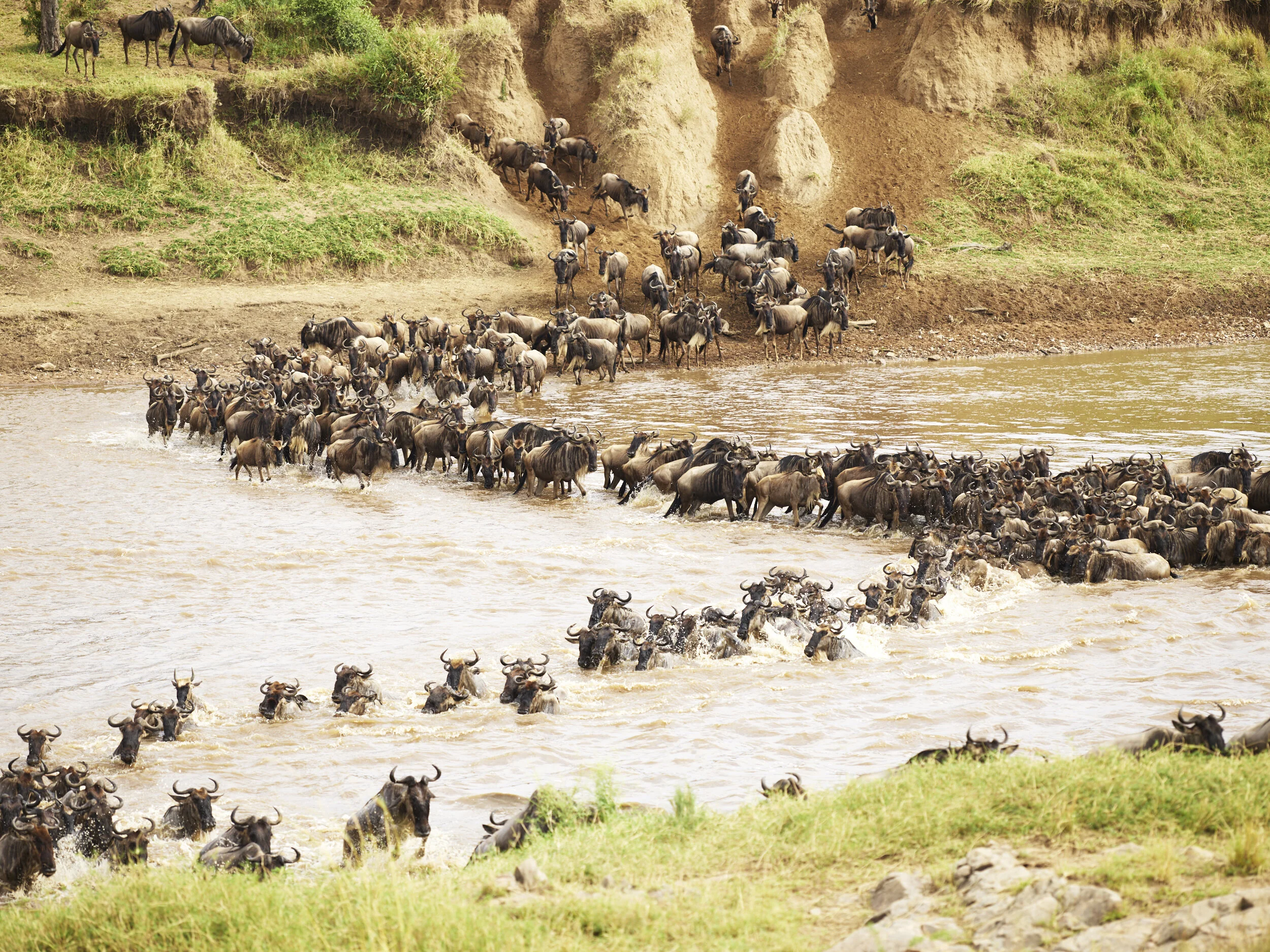 Africa 2019