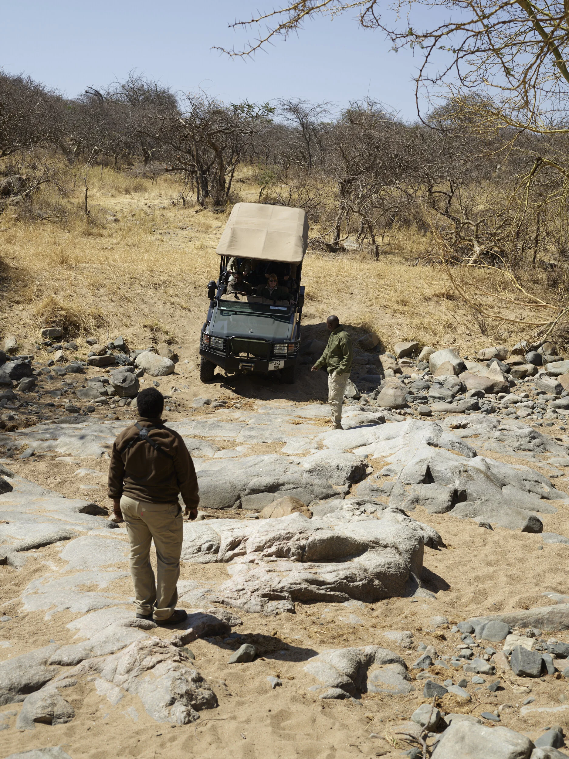 Africa 2019