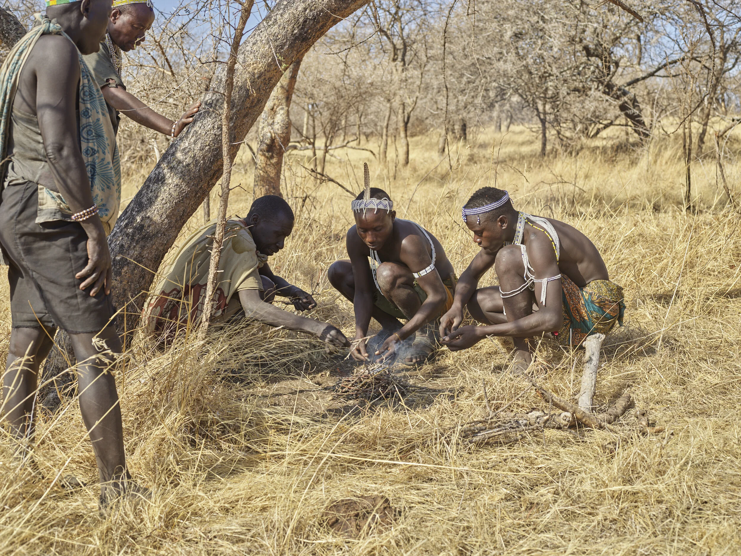 Africa 2019