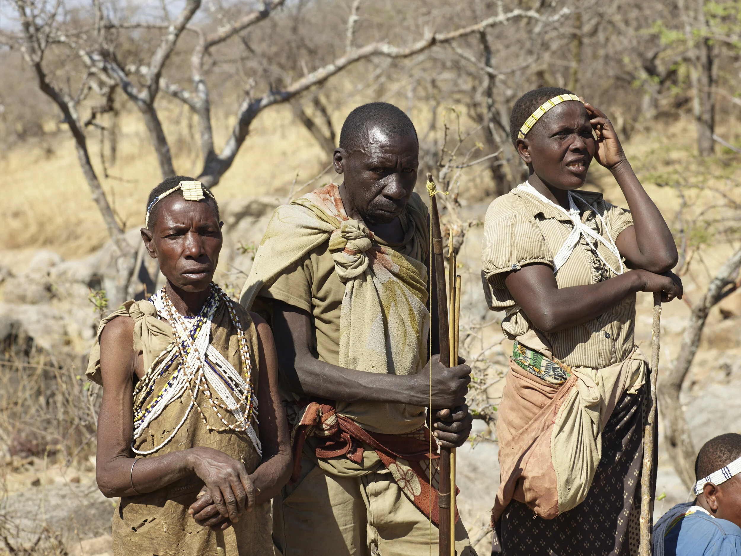 Africa 2019