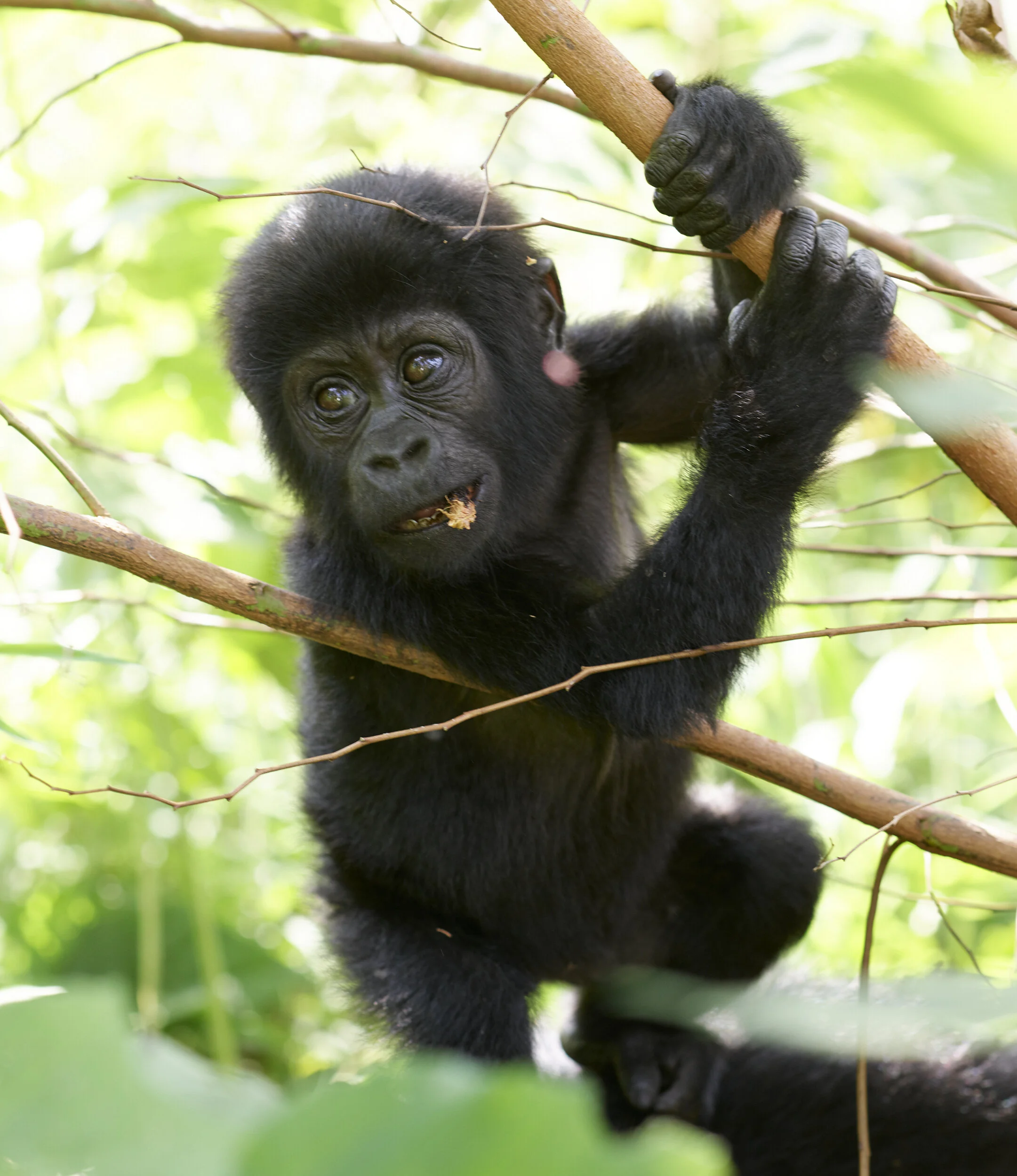 Uganda_P0001197.jpg