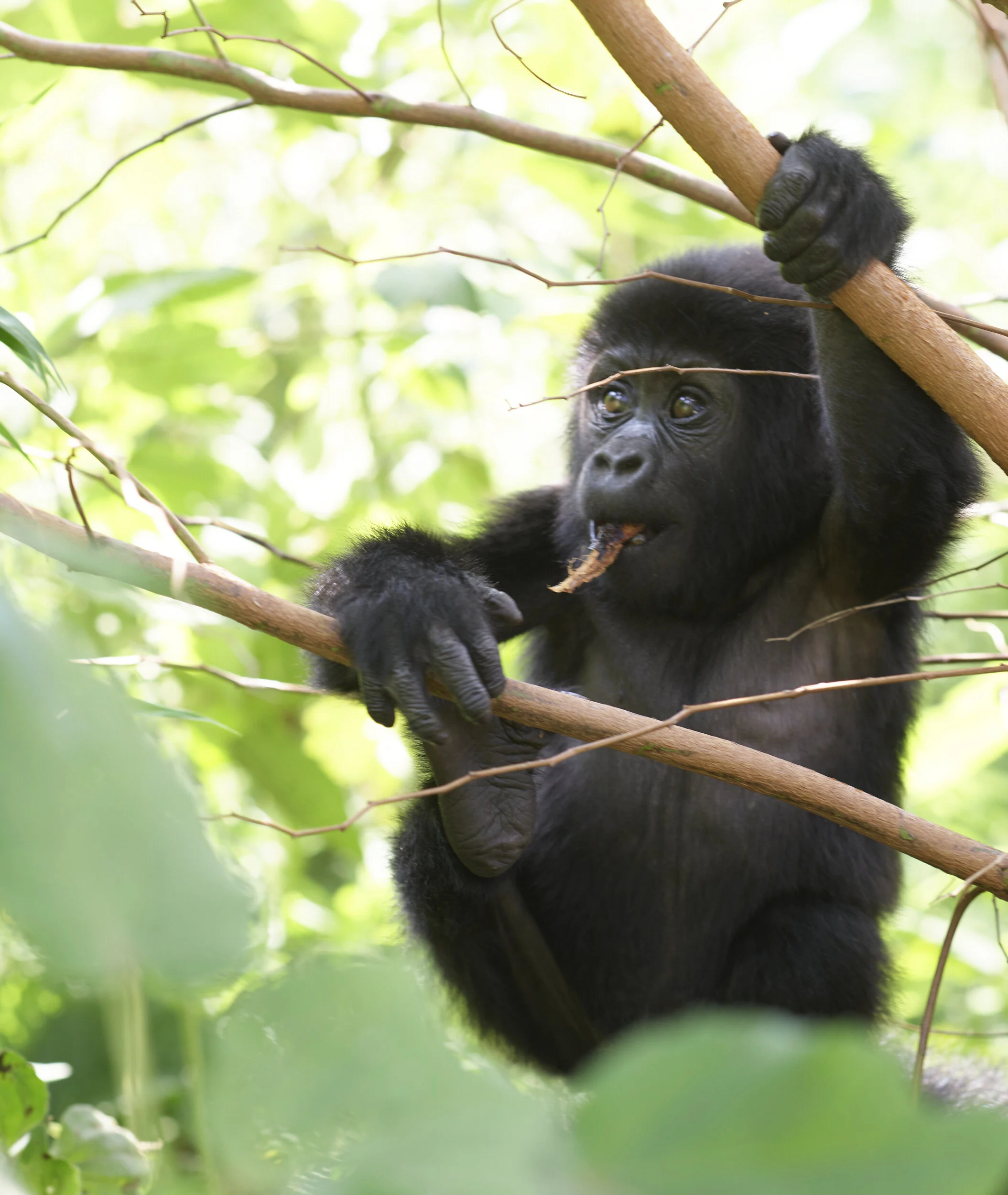 Uganda_P0001198.jpg
