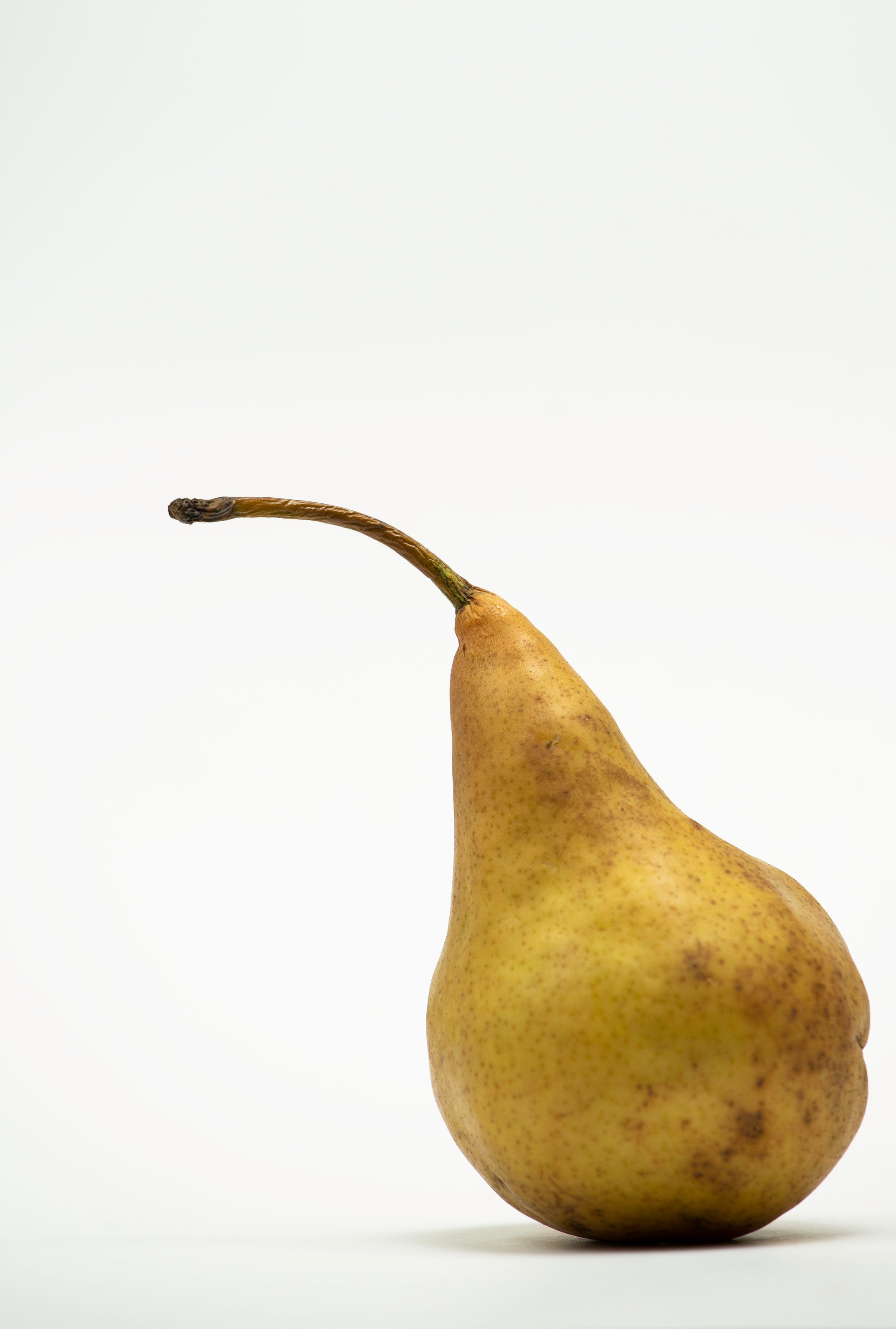 iStock-627415518.jpg