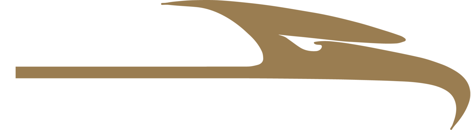 Eagle Motorsports SAE