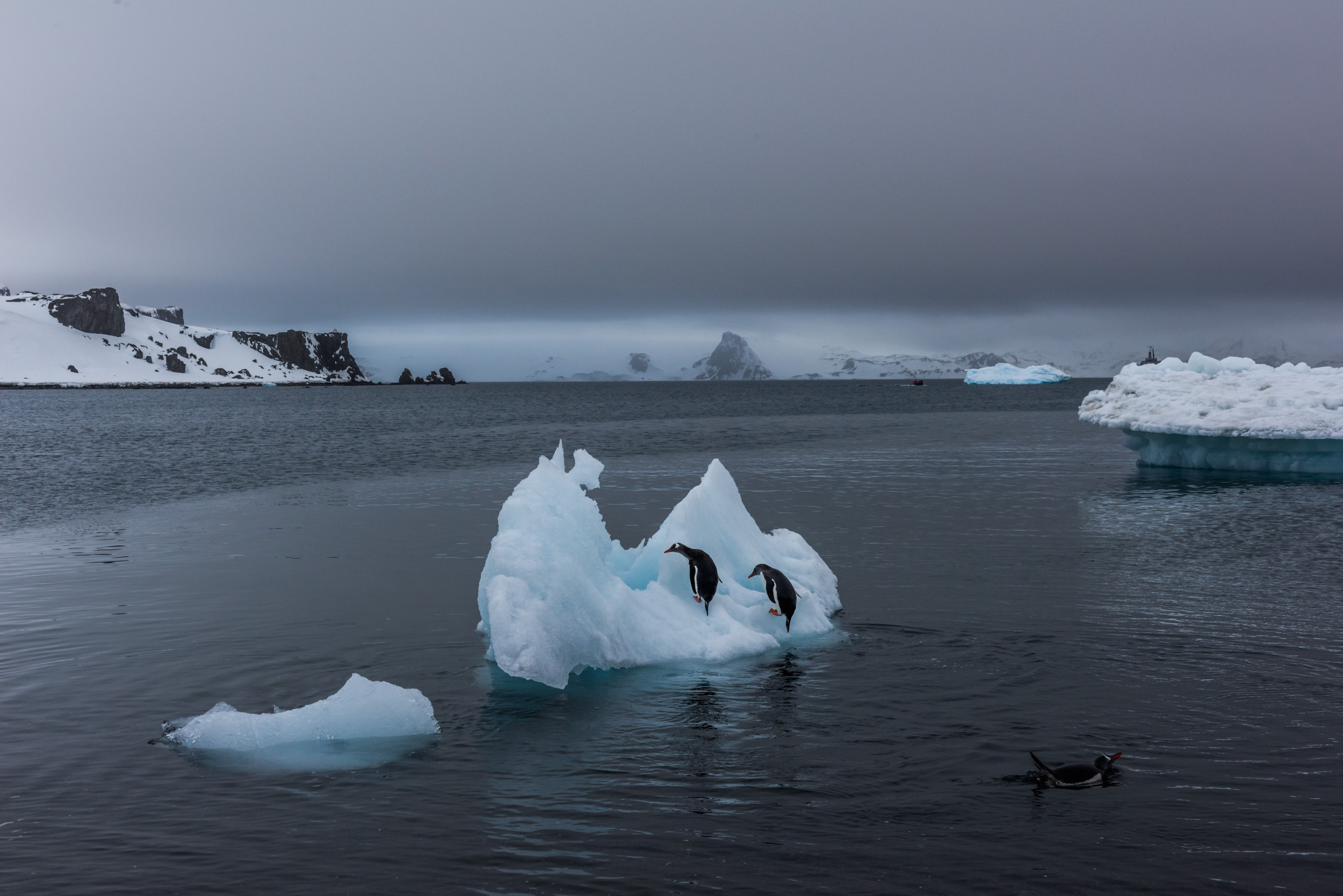 2015_11_27_DB_Antarctica_01068.jpg