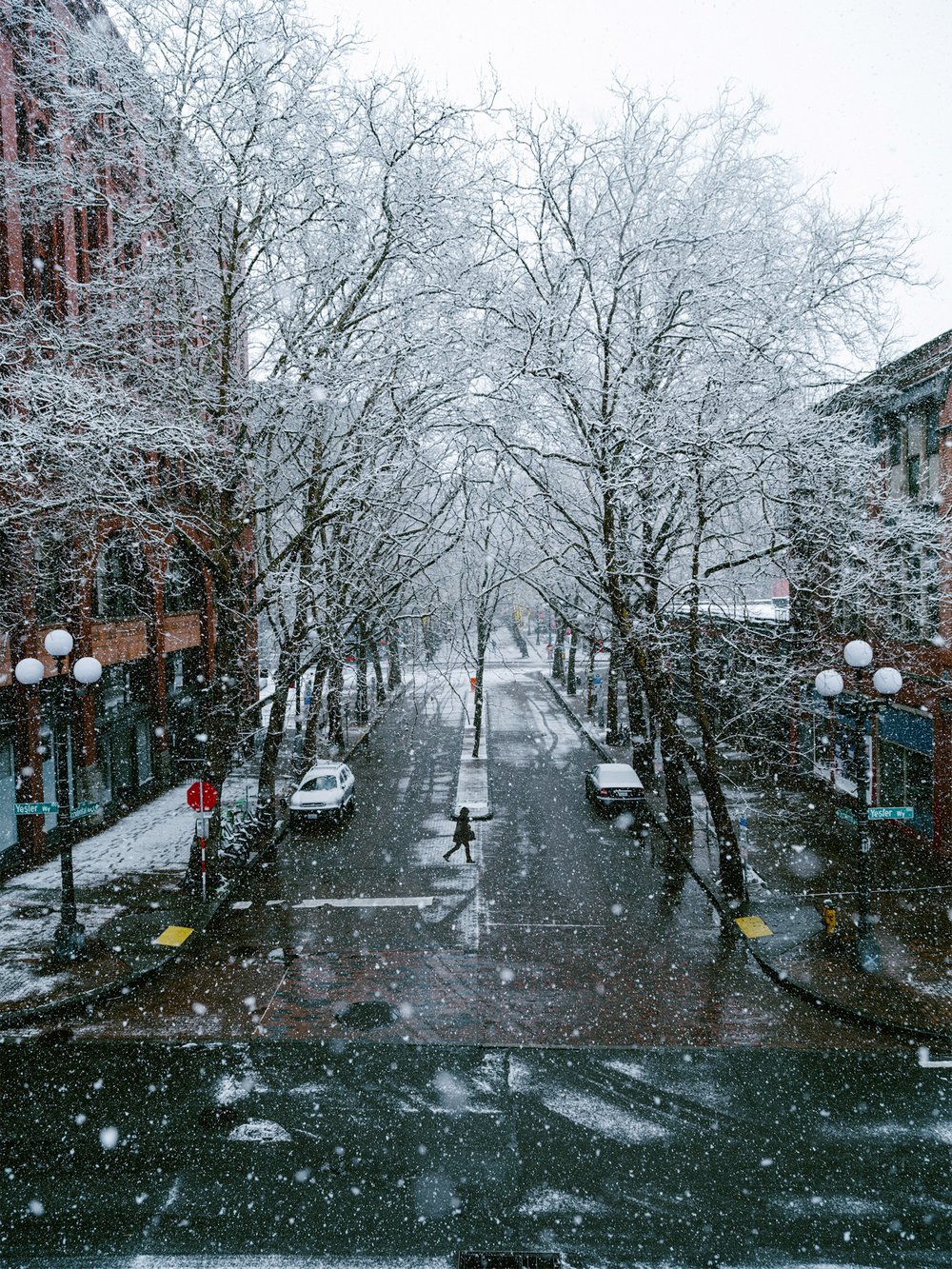 samhorine-seattle-snow-3.jpg