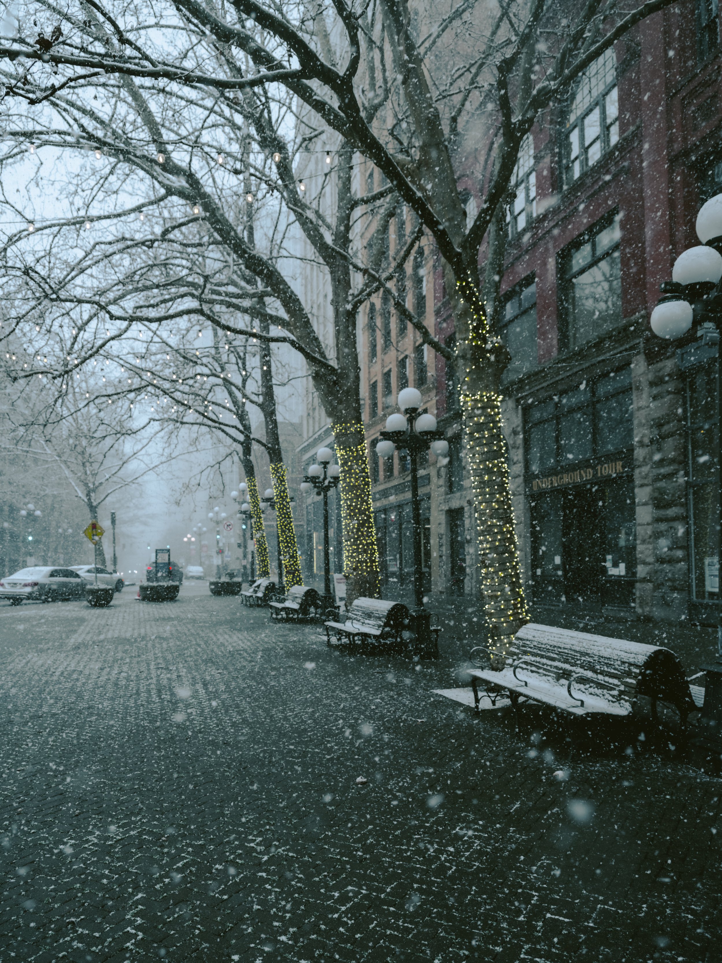 samhorine-seattle-snow-9135.jpg