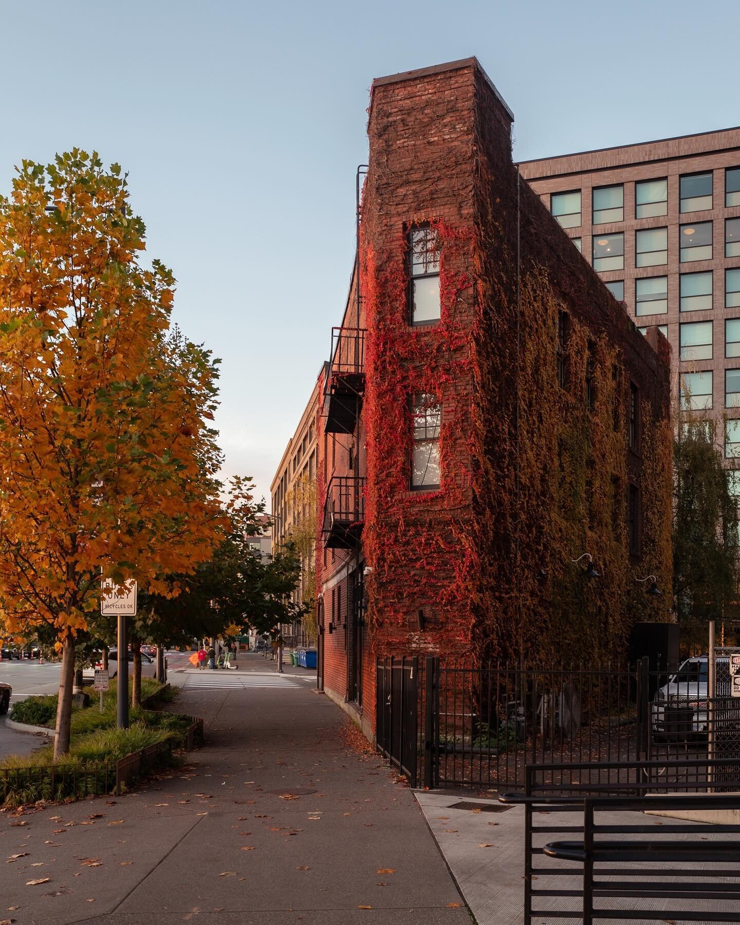 early sunsets // couple moments of fall light the other evening 🍂