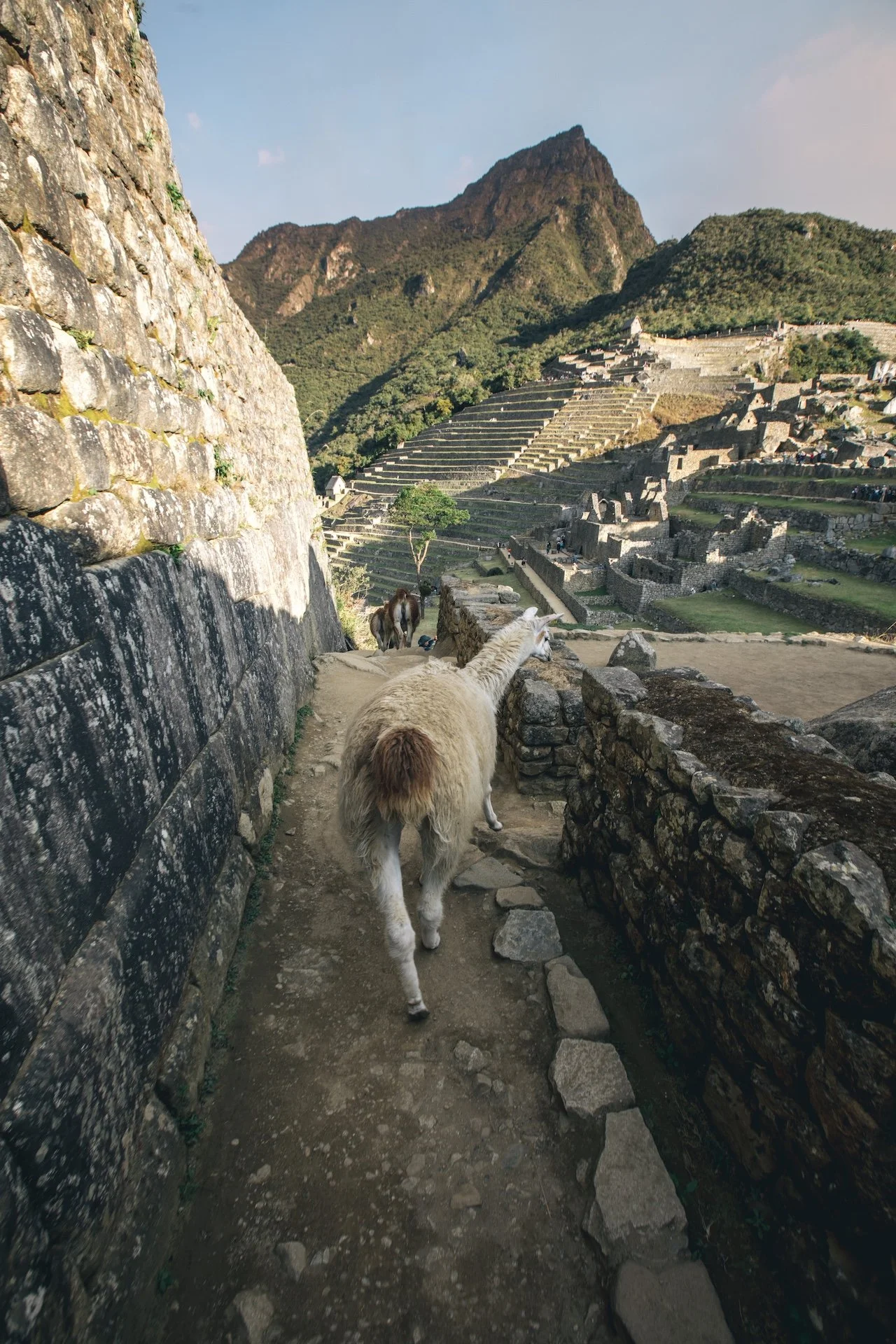 samhorine-machu-picchu-4950.jpg