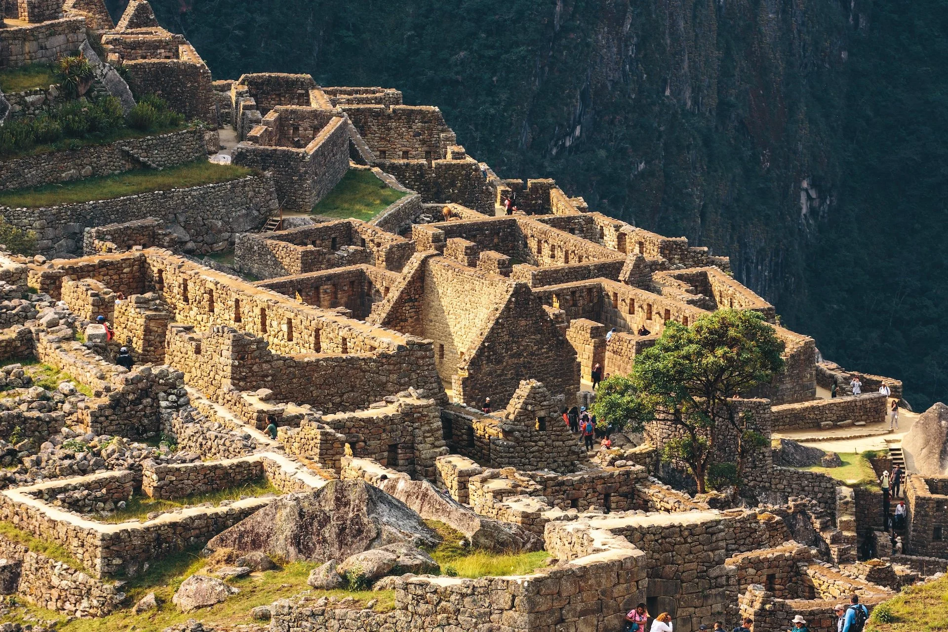samhorine-machu-picchu-9473.jpg