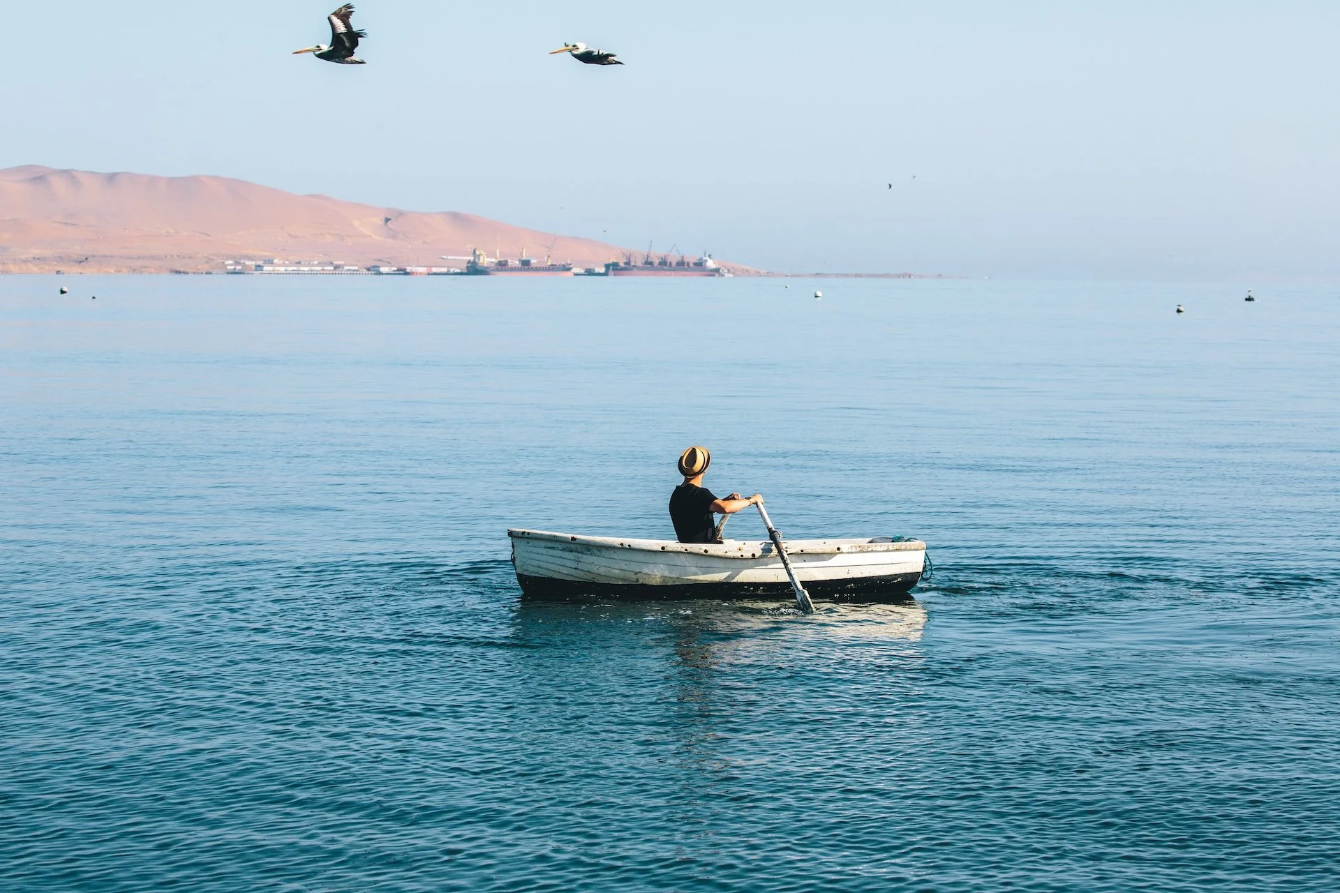 samhorine-paracas-9495.jpg