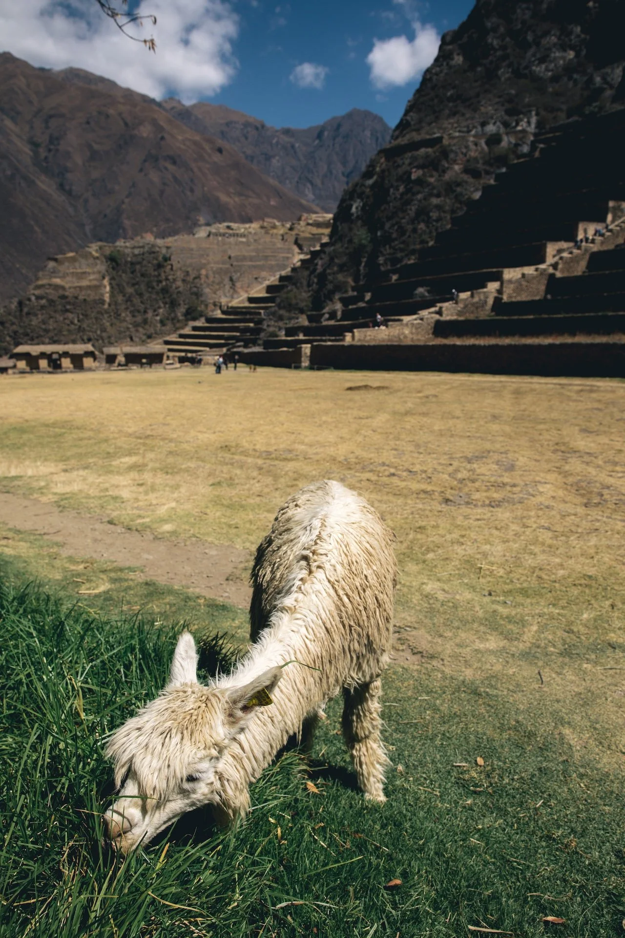 samhorine-peru-4191.jpg