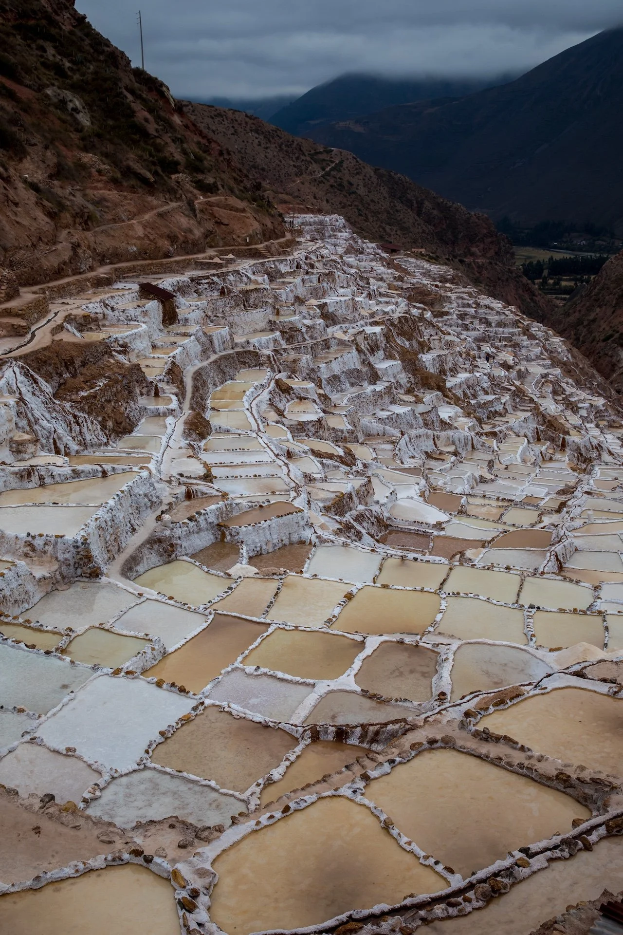 samhorine-peru-4360.jpg