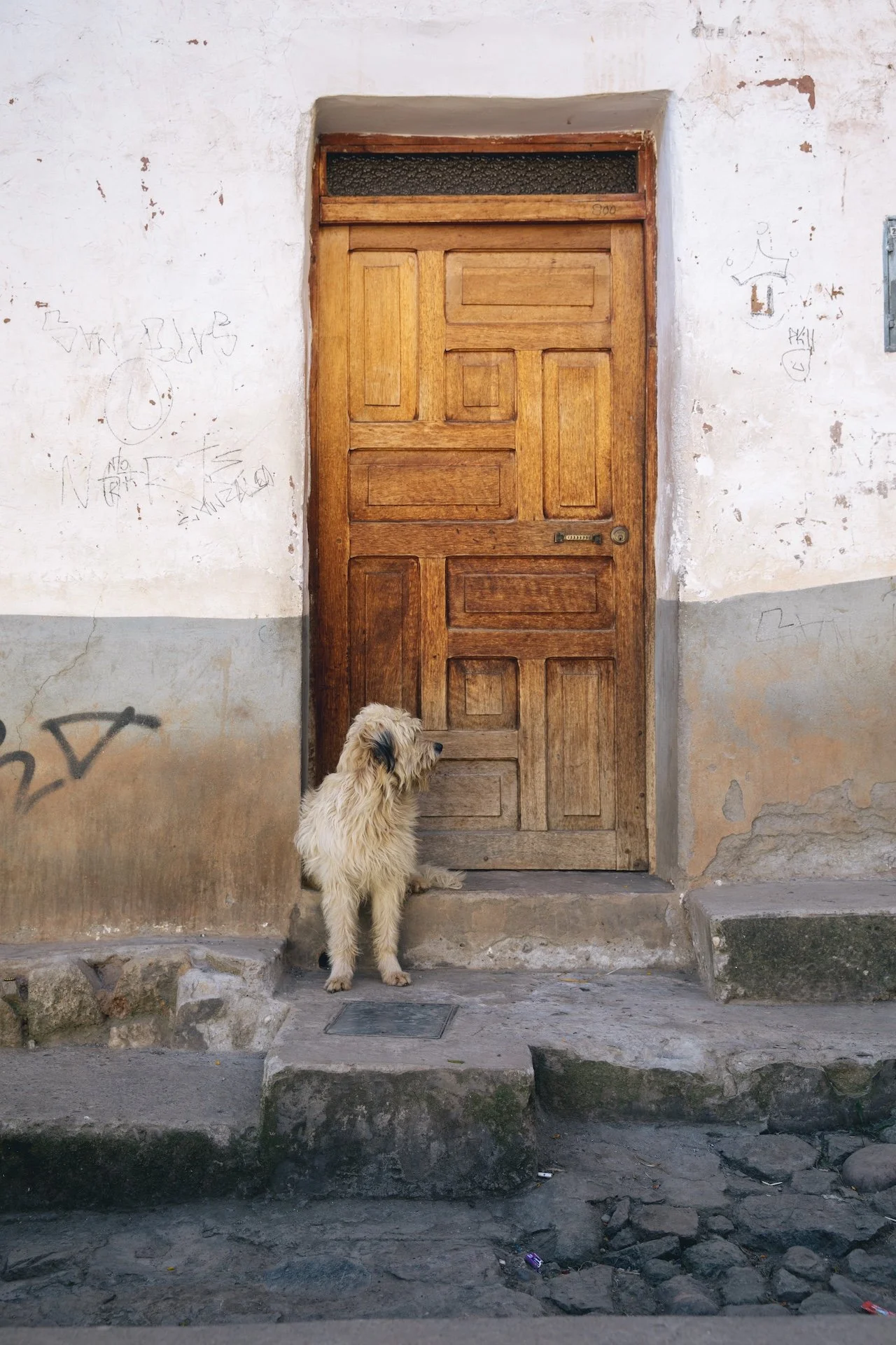 samhorine-peru-4618.jpg
