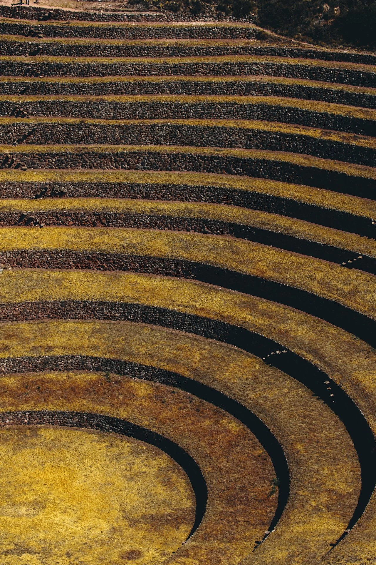 samhorine-peru-9442.jpg