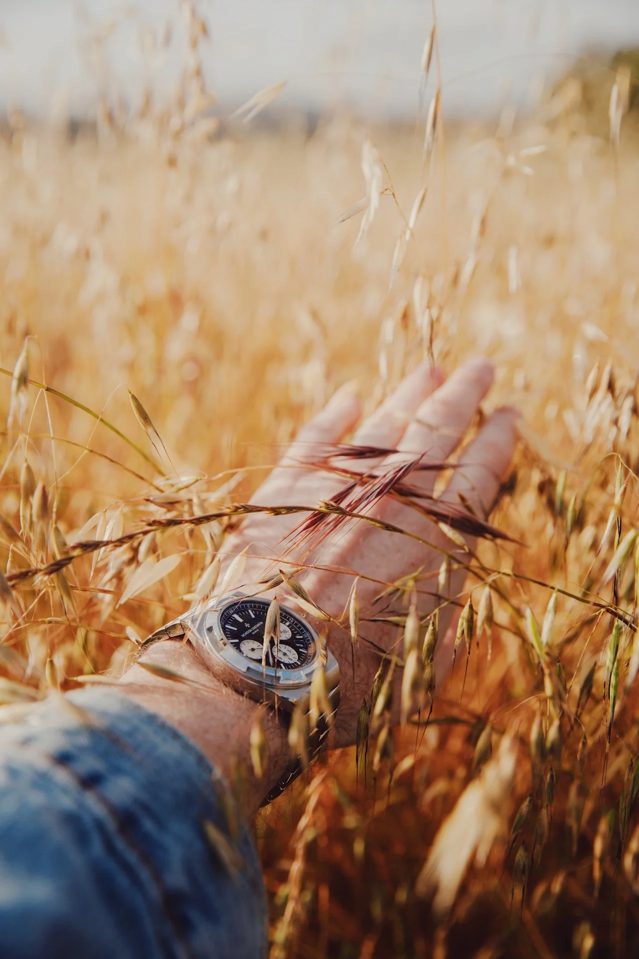 Napa w/ Vacheron Constantin