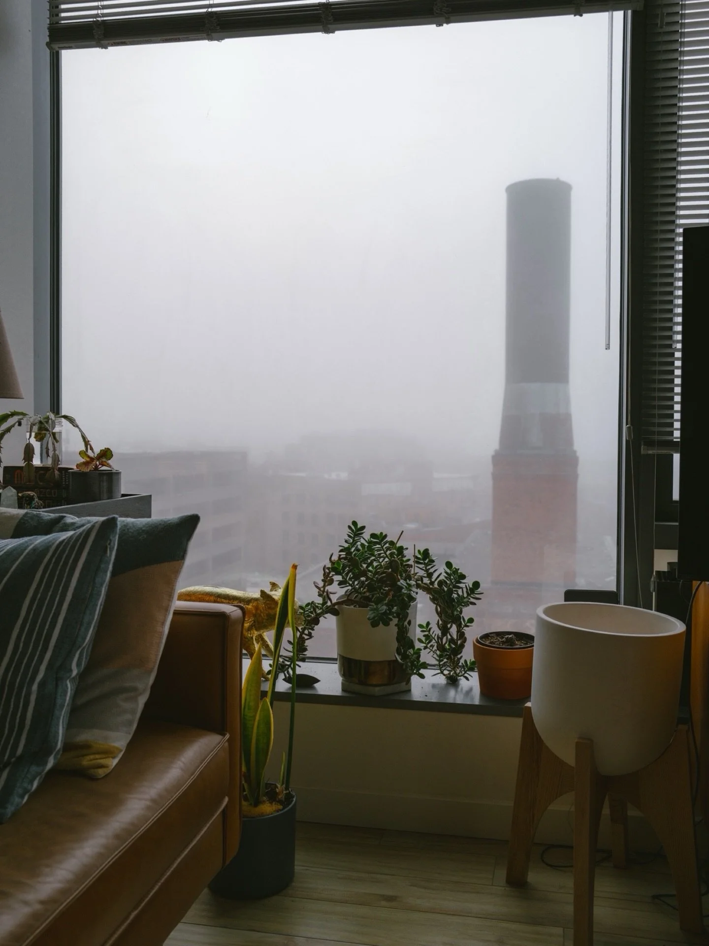 Foggy Mornings // October in Seattle 😶&zwj;🌫️