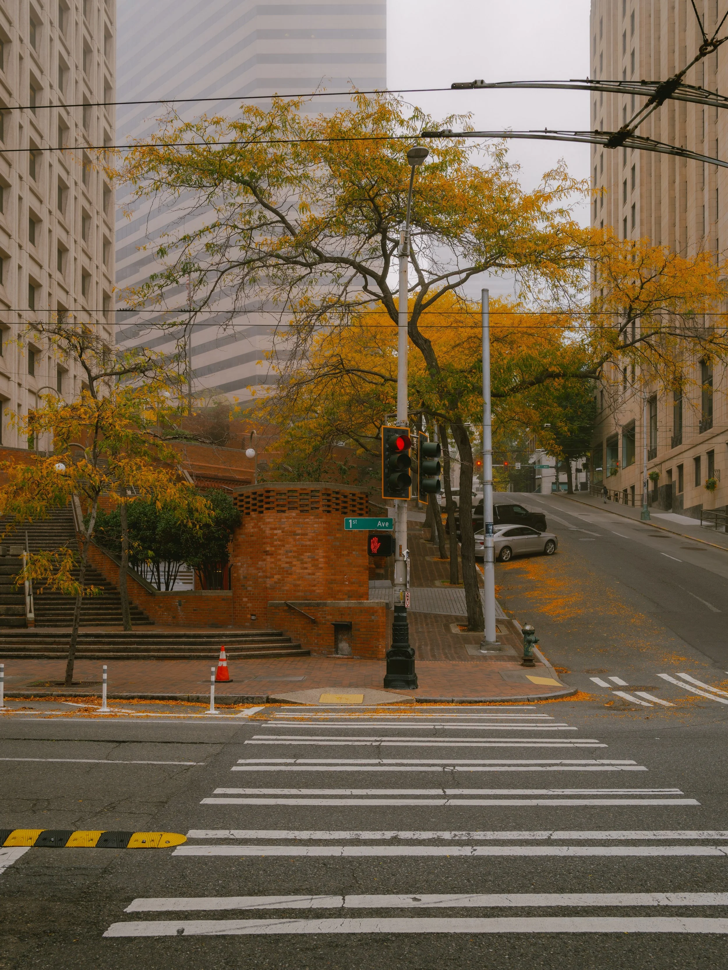 Architectural Details on a misty morning // Downtown Seattle vibes 🍂