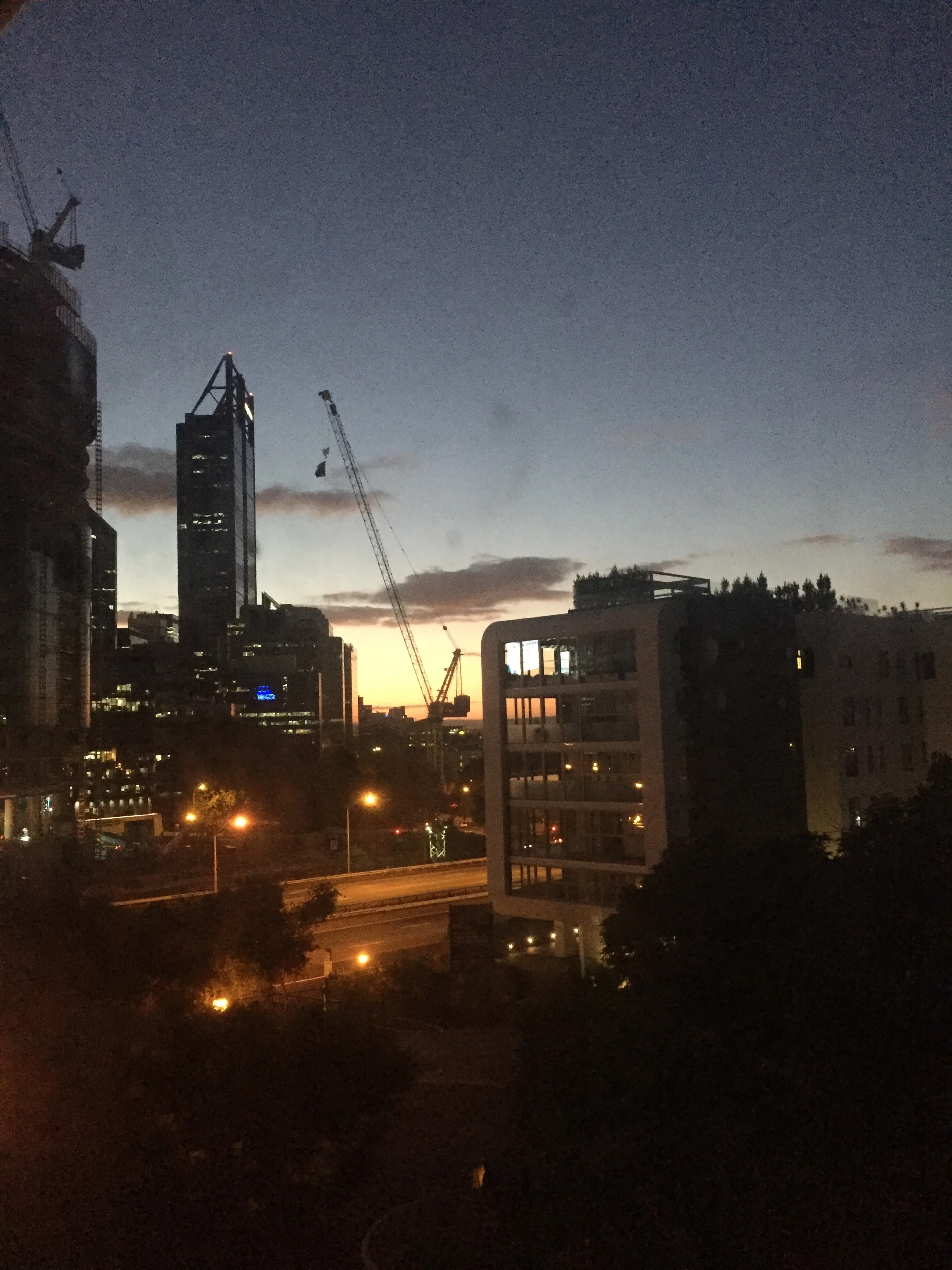 IMG_8253.jpeg