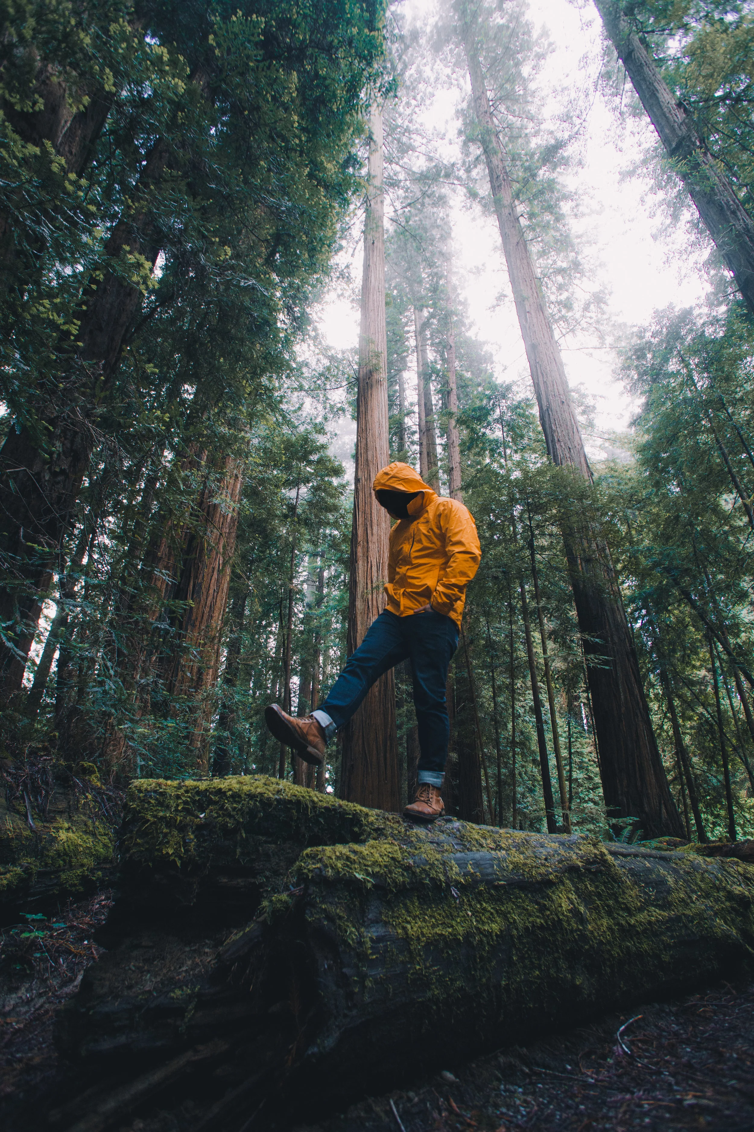 After MS01 Wild Preset