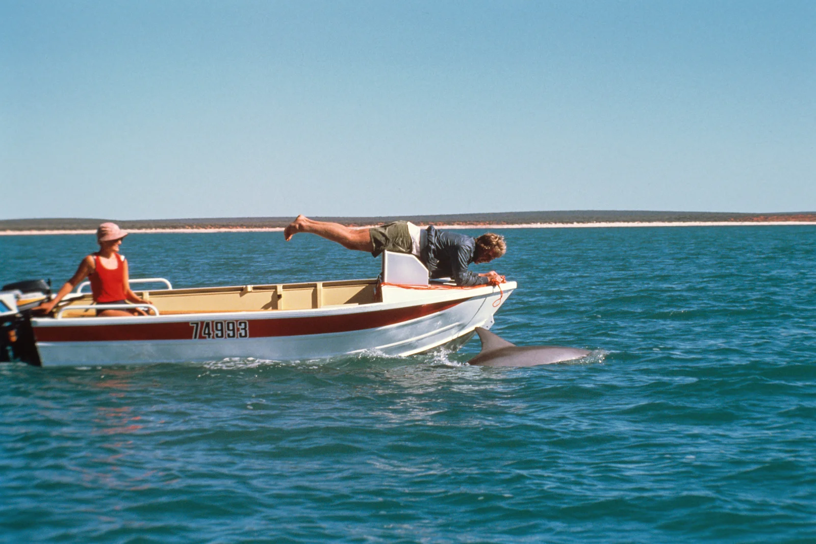 Following Wild Dolphins