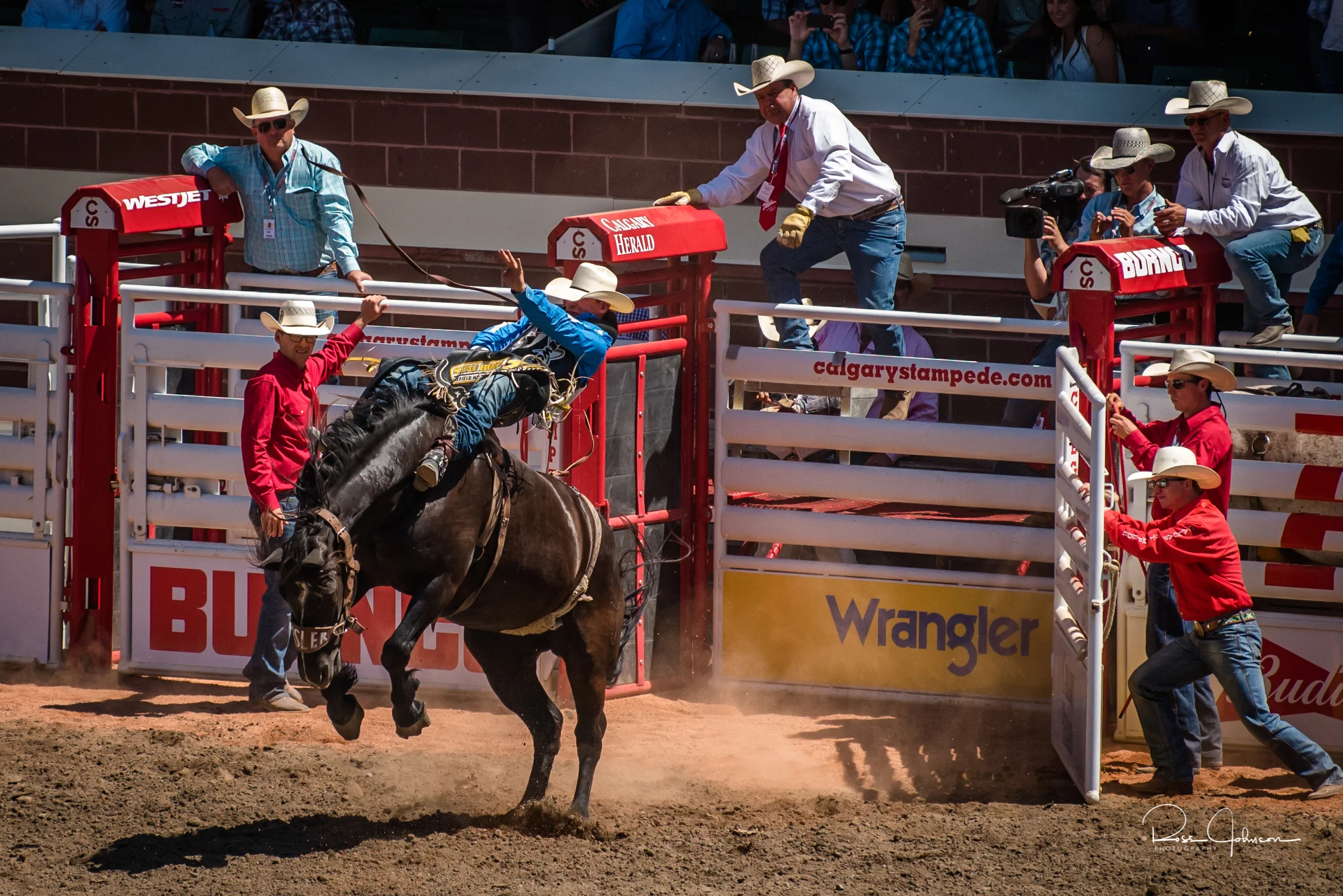 Bronco Riding, 2017 Calgary Stampede