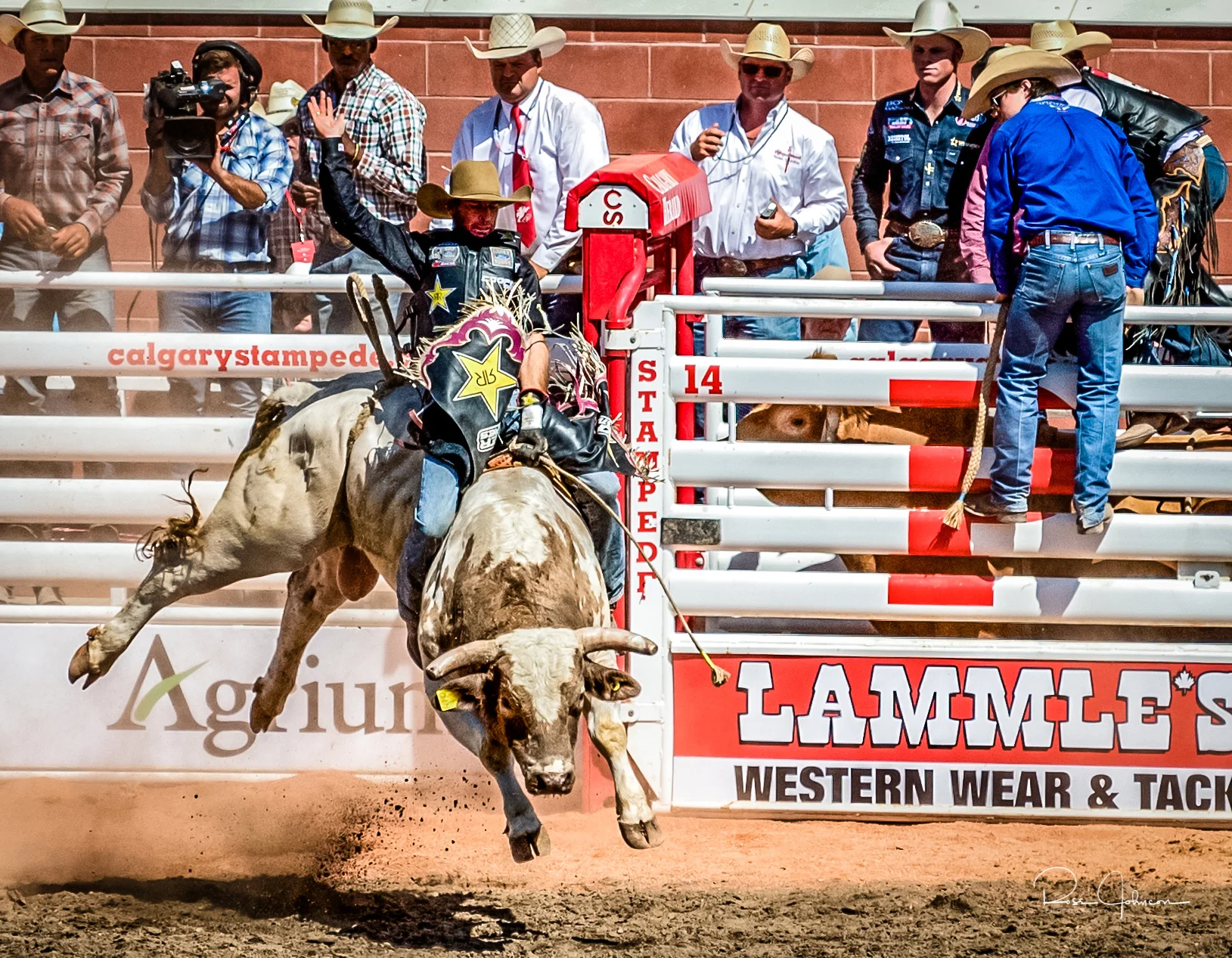 Bull Riding, 2017 Calgary Stampede