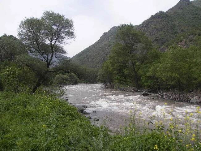 The Republic of Armenia’s water sources–primarily mountain springs–are generally regarded as pure, but the water is heavily contaminated in many areas due to industrial, agricultural, and municipal waste, all of which undergoes only the most basic of water treatment, if any at all. Much of the country’s water is diverted for hydropower, although more recently proposed projects have been increasingly unpopular among Armenian communities. You can read more about these and other water-related issues at http://www.armenia-environment.org/issues/ Photo courtesy of www.ramsar.org .