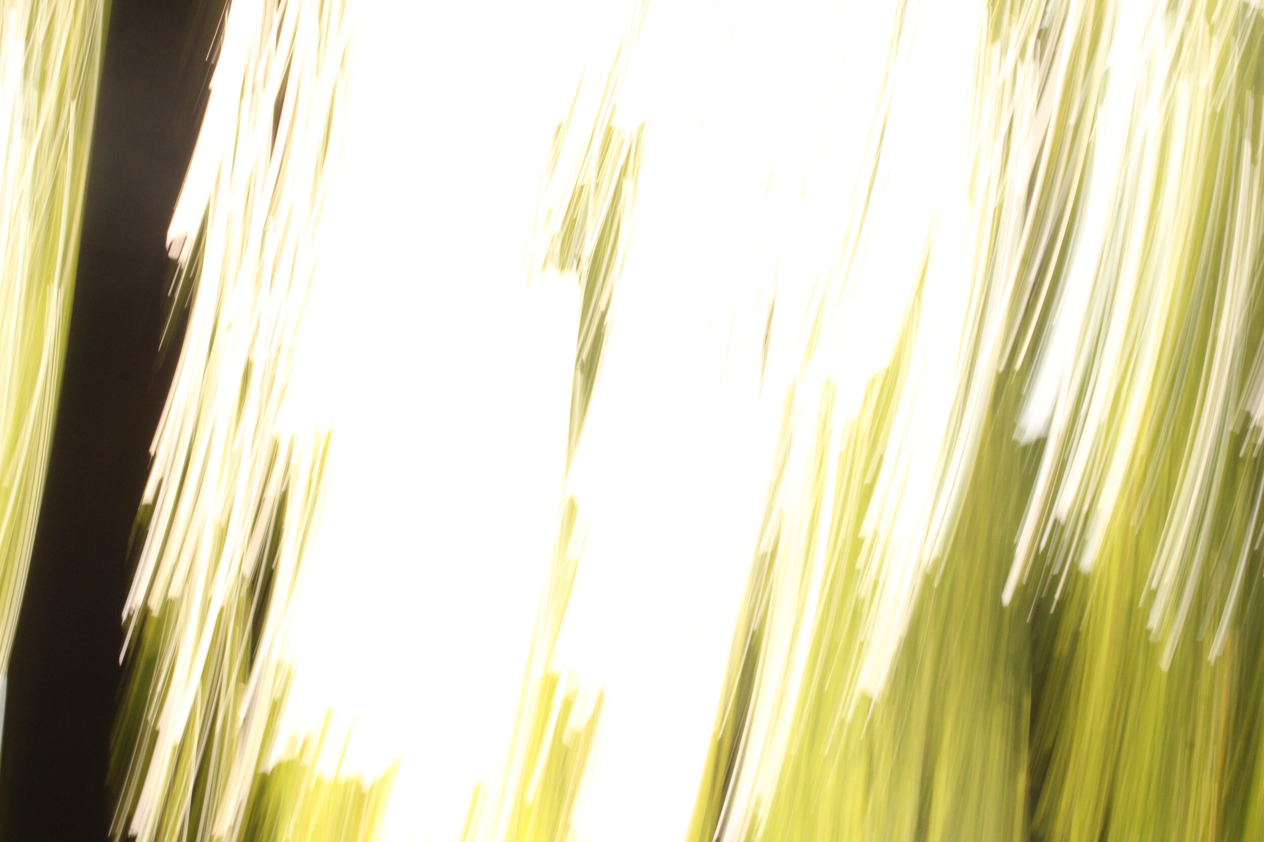 elfeeeeeelfeeeeee 23 von 28.jpg