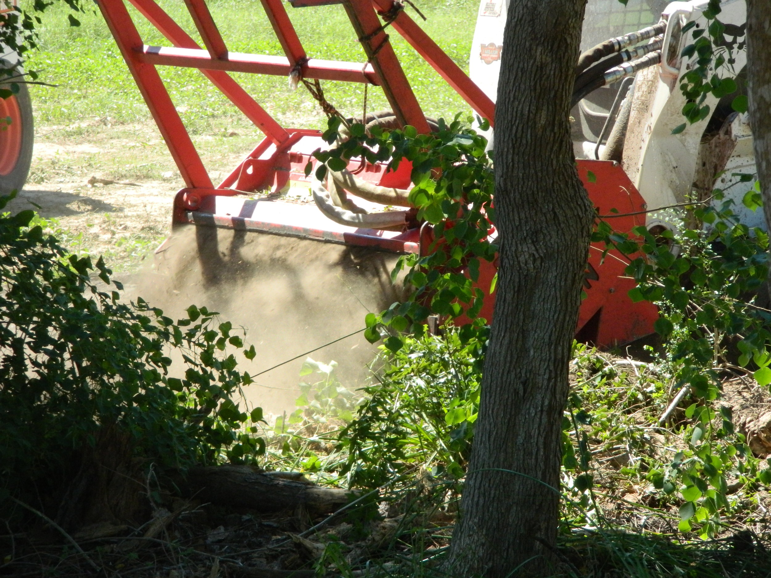 hydro ax Clearing and Underbrush in The Woodlands, Spring, Conroe