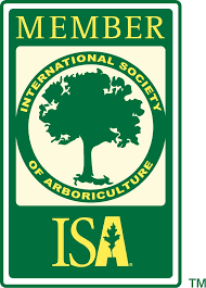 Society of Arborist Arboriculture Tree Service 