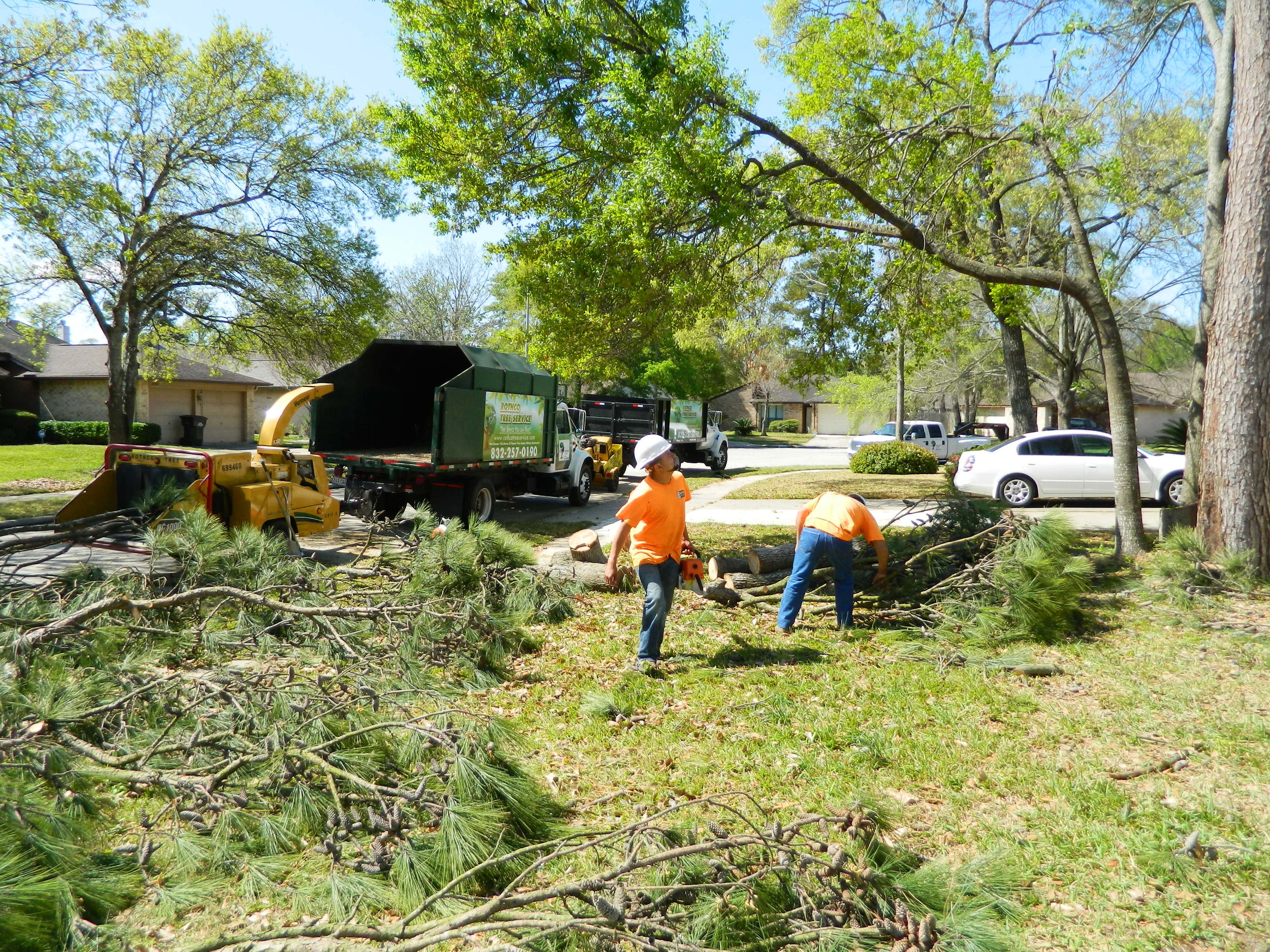 debris clean up and haul away in Spring, TX