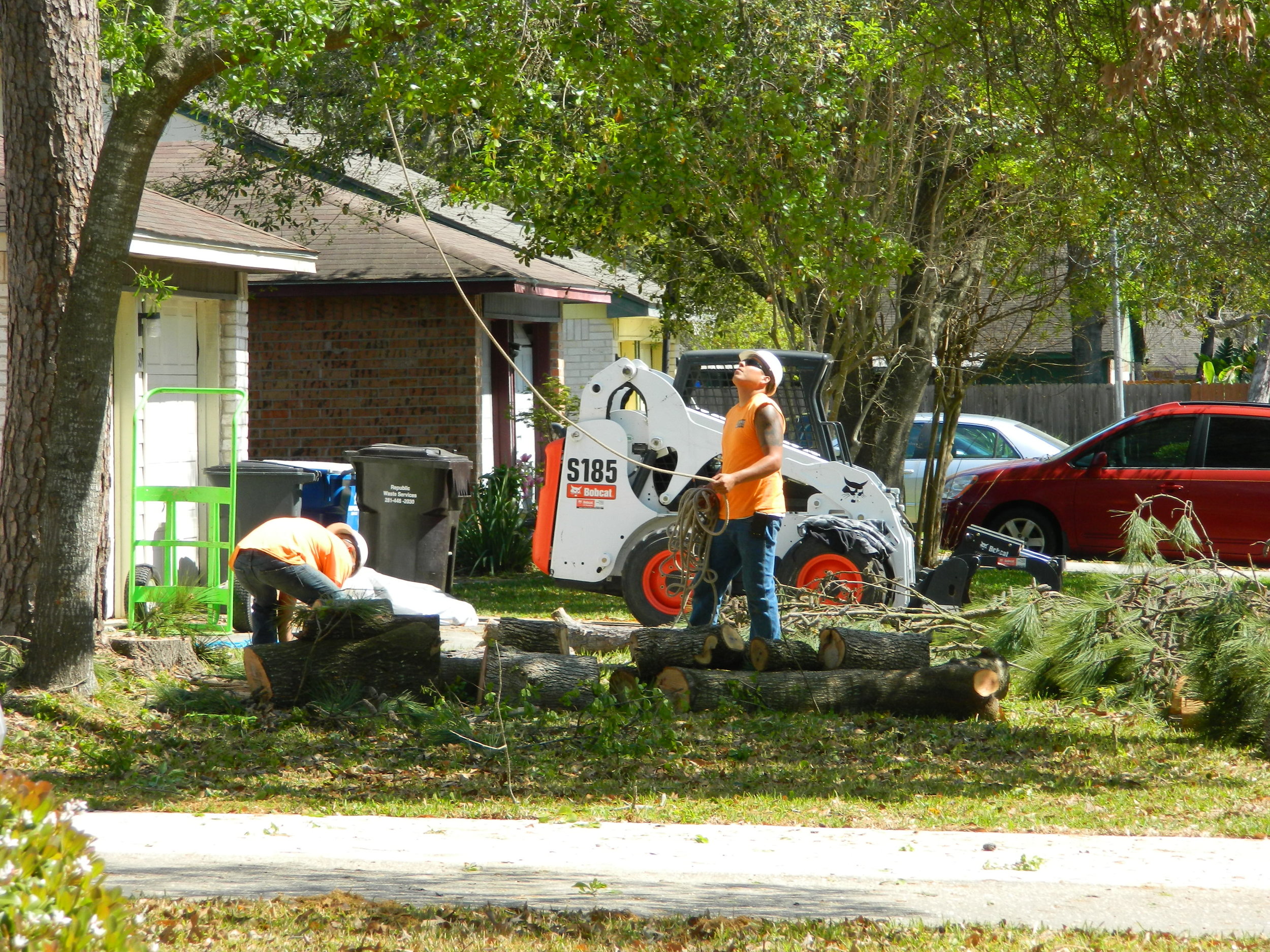 using the loader to haul out logs and greenwaste