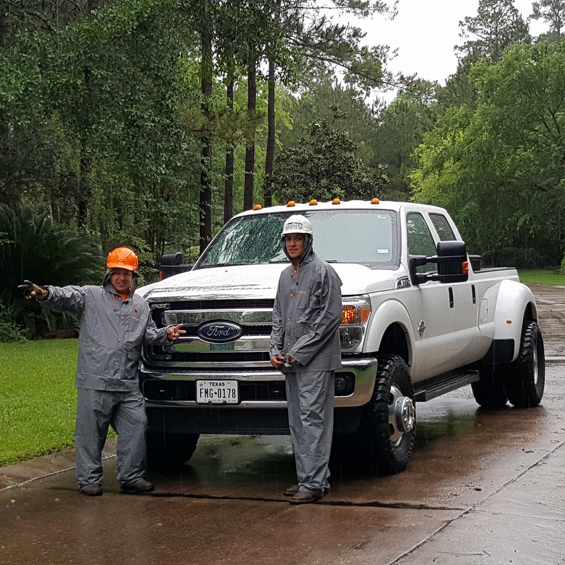 tree service in the rain