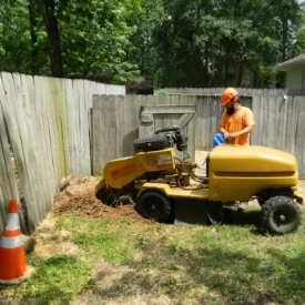 Stump Grind and Rootball ShavingAfter a tree is removed you may not want that stump in your yard, our equipment will allow us to grind that stump below ground level or totally remove it to enhance the appearance of your property.