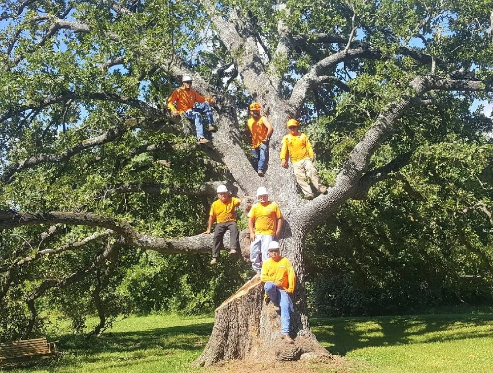 Rothco Tree Service Crew