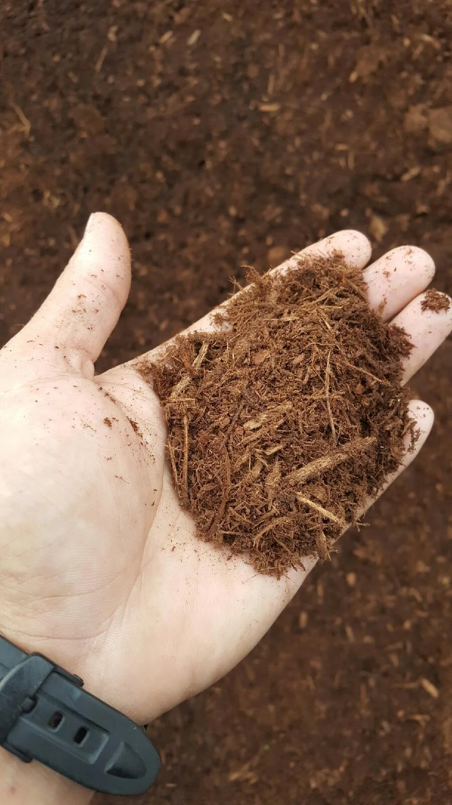 Mulch 2-triple.jpg